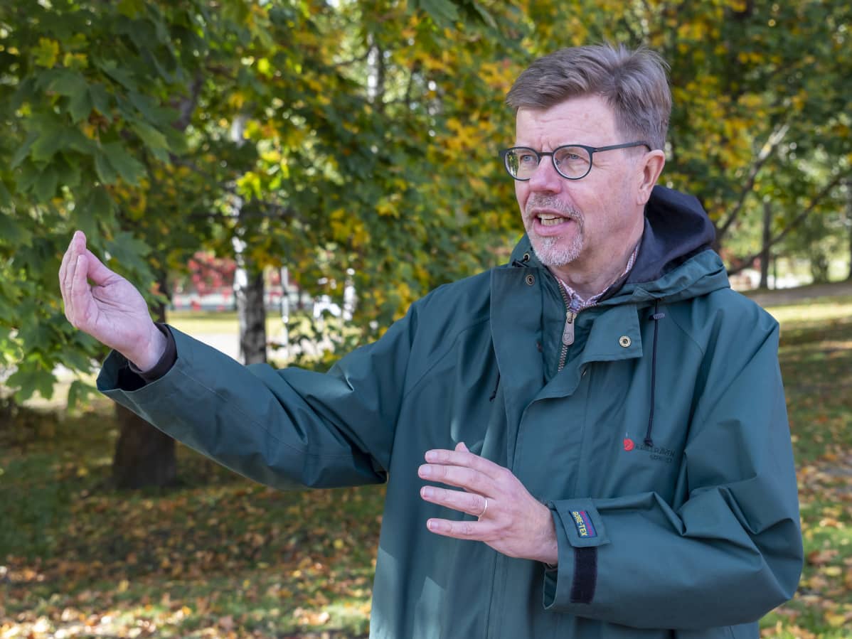 Professori Hannu Itkonen