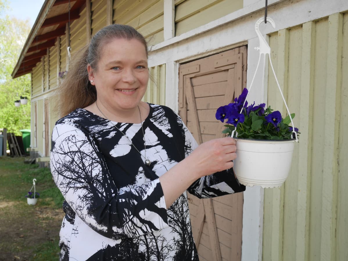 Johanna Albert hoitaa orvokkiamppelia