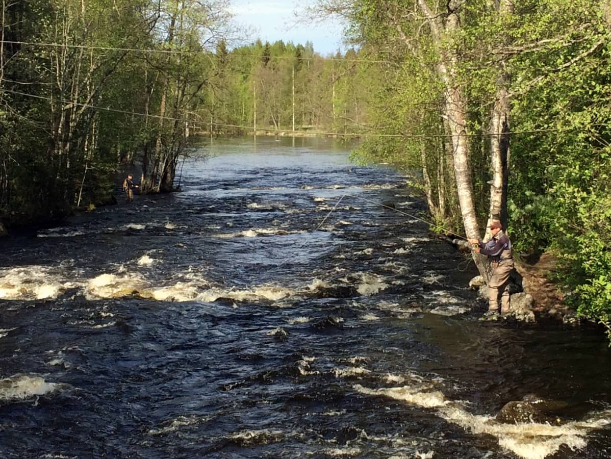 Läsäkoski
