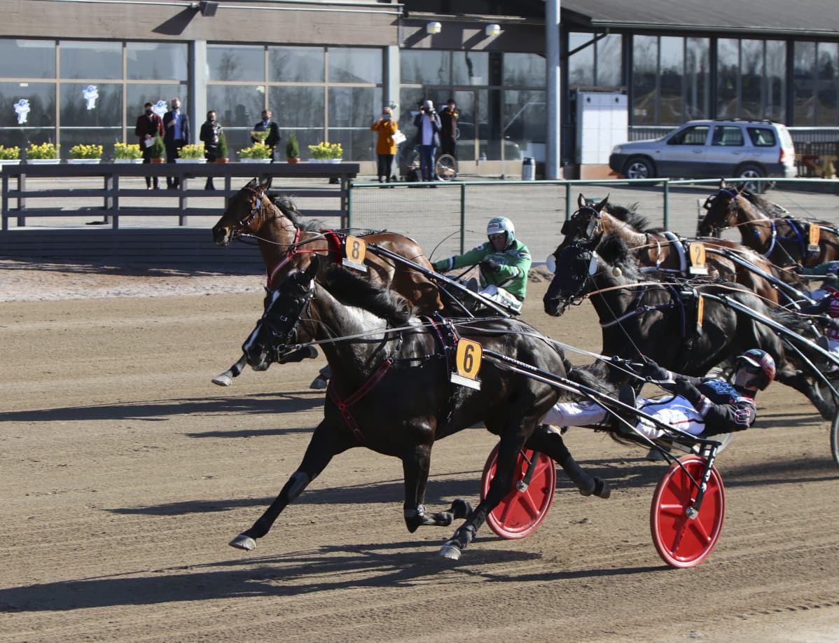 Ravit