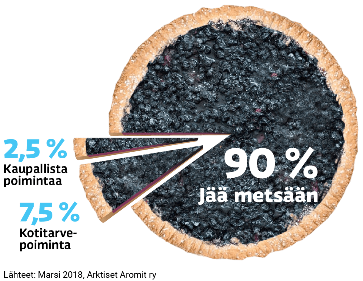 Mustkkapiirakka, josta kaksi siivua otettu syrjään.