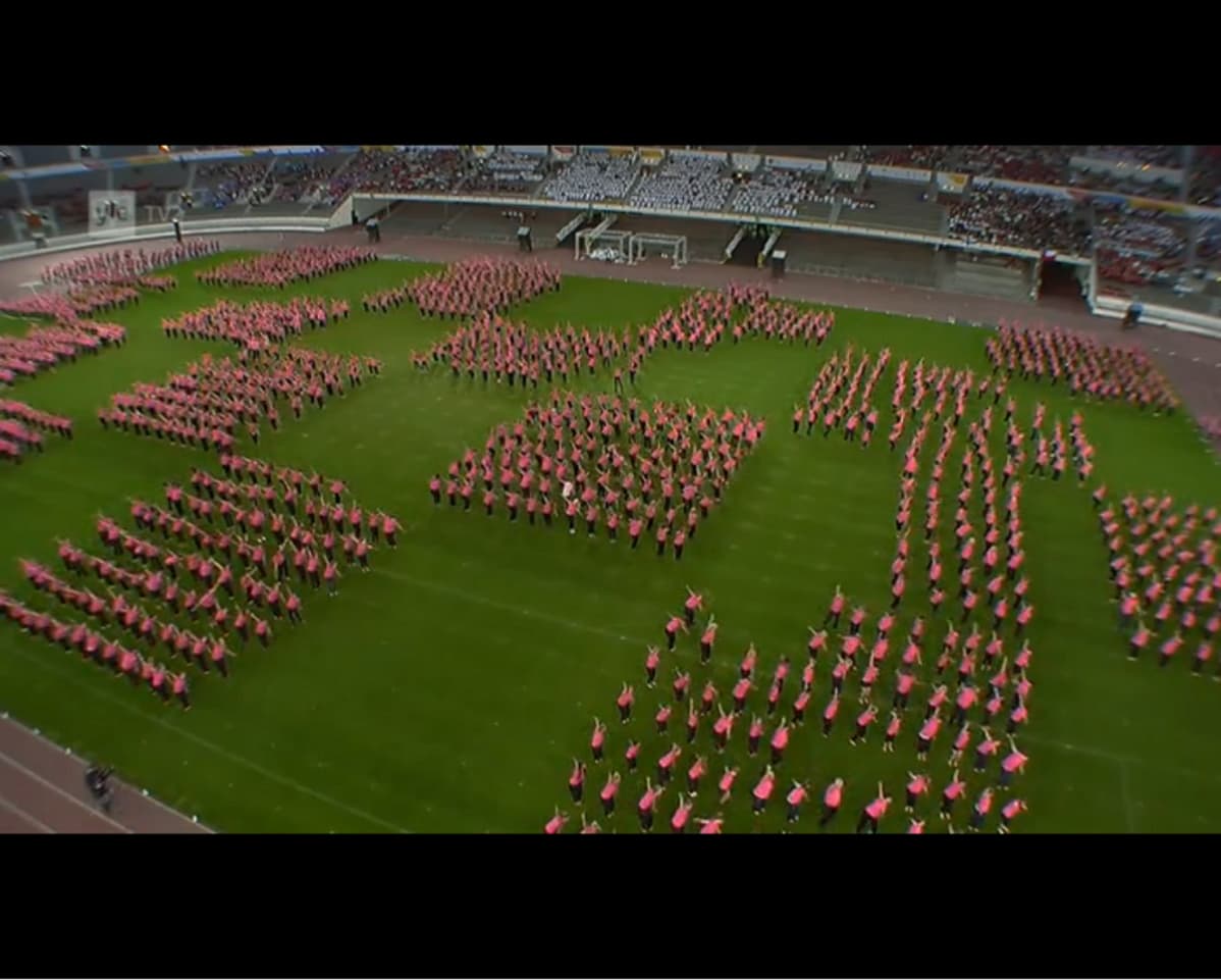 Gymnaestrada World Team
