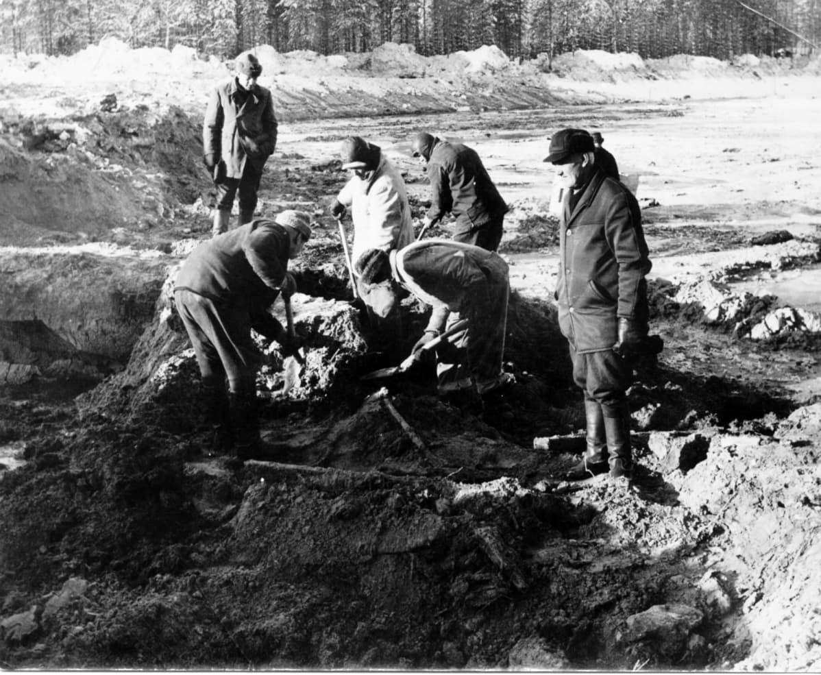 Vainajia siirretään joukkohaudasta tielinjan rakentamisen yhteydessä vuonna 1967.