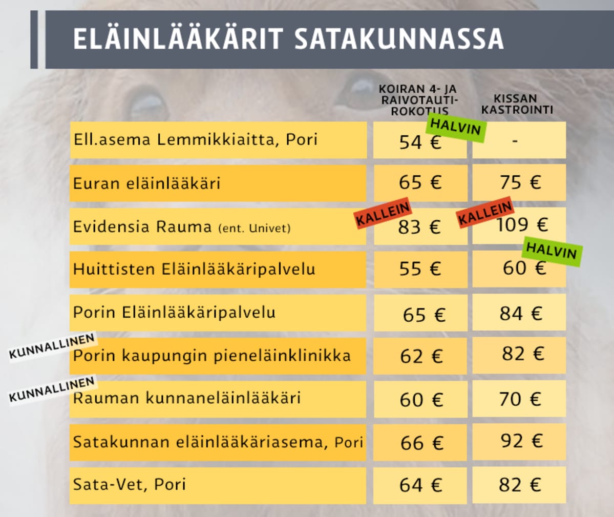 Eläinlääkäreiden hintoja