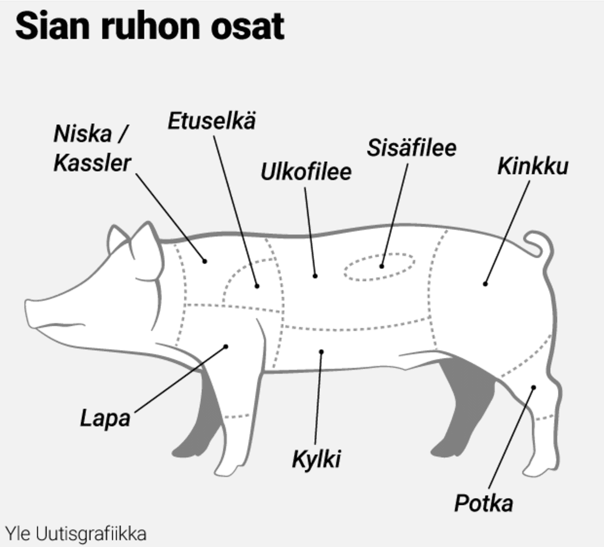 Grafiikka
