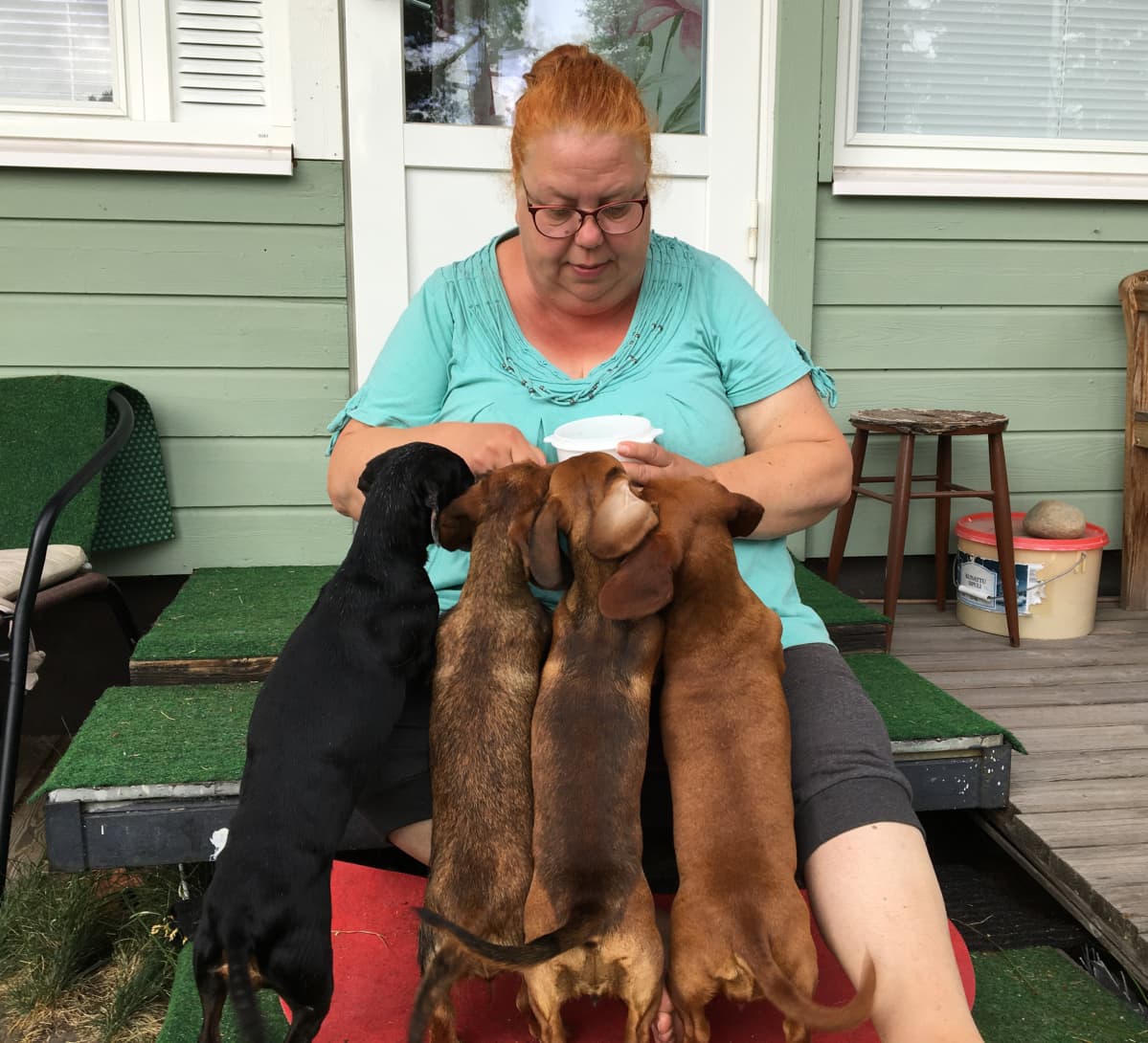 Anna-Lena istuu rappusella, koirat Dee, Pupu, Pulmu ja Birgitta saavat herkkupaloja.
