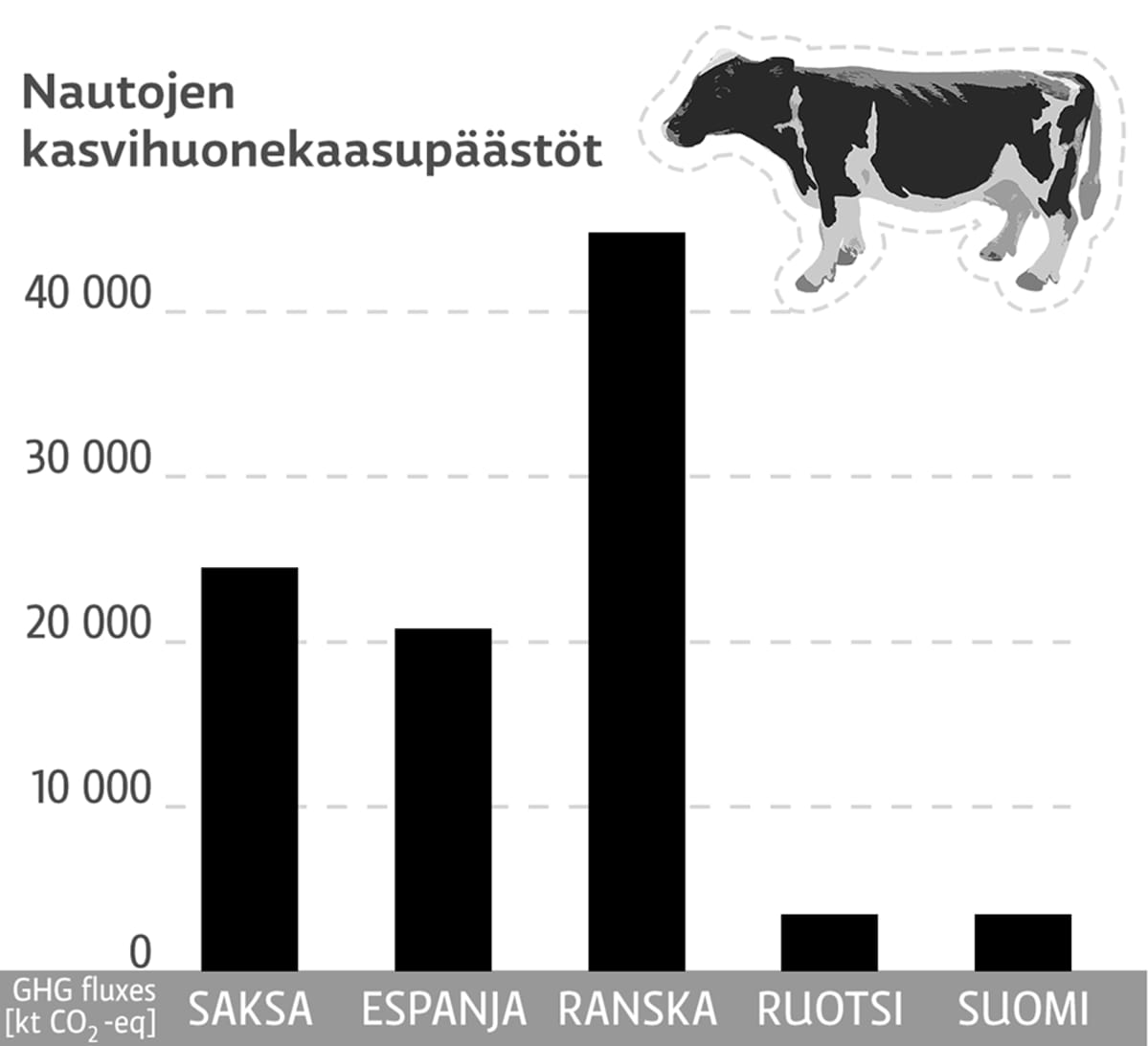 Grafiikka