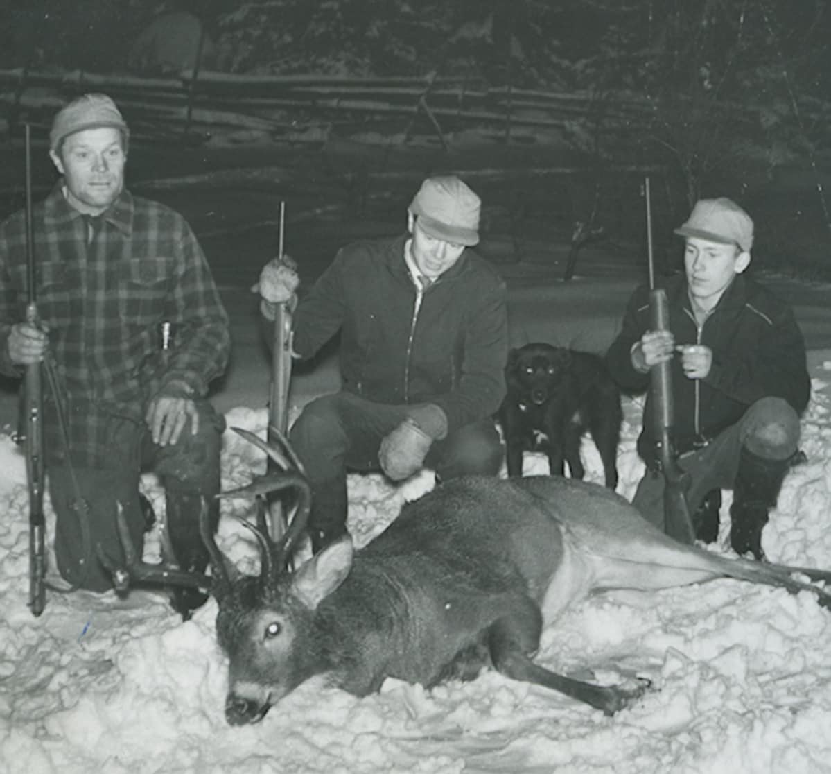 Ensimmäinen valkohäntäpeuran kaato Suomessa 24.11.1960