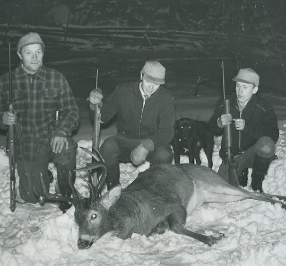 Ensimmäinen valkohäntäpeuran kaato Suomessa 24.11.1960
