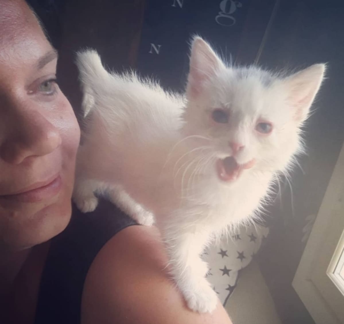 Janita Heimosen luona asustava Hilla-kissa on kotiutunut uuteen kotiinsa ja voi hyvin.