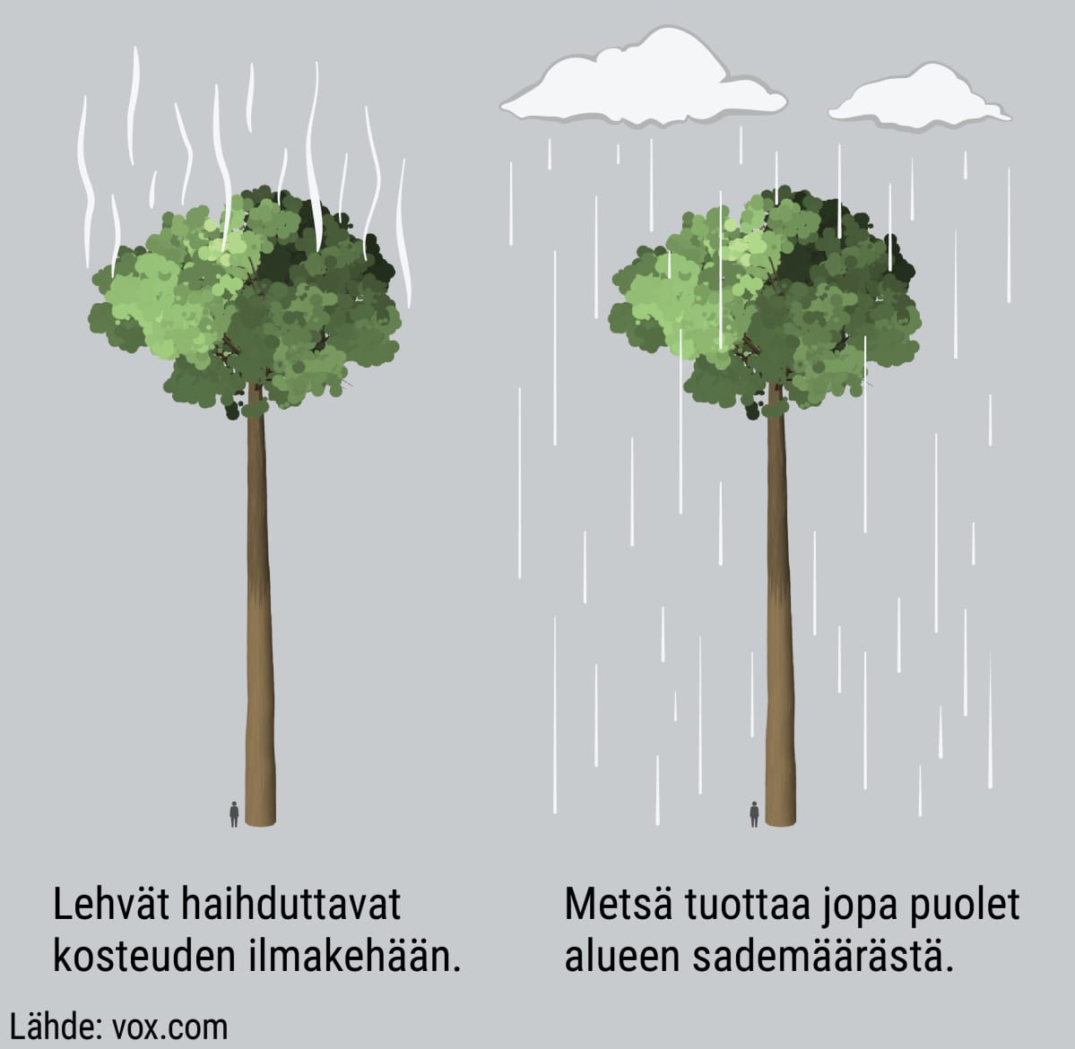 Grafiikka
