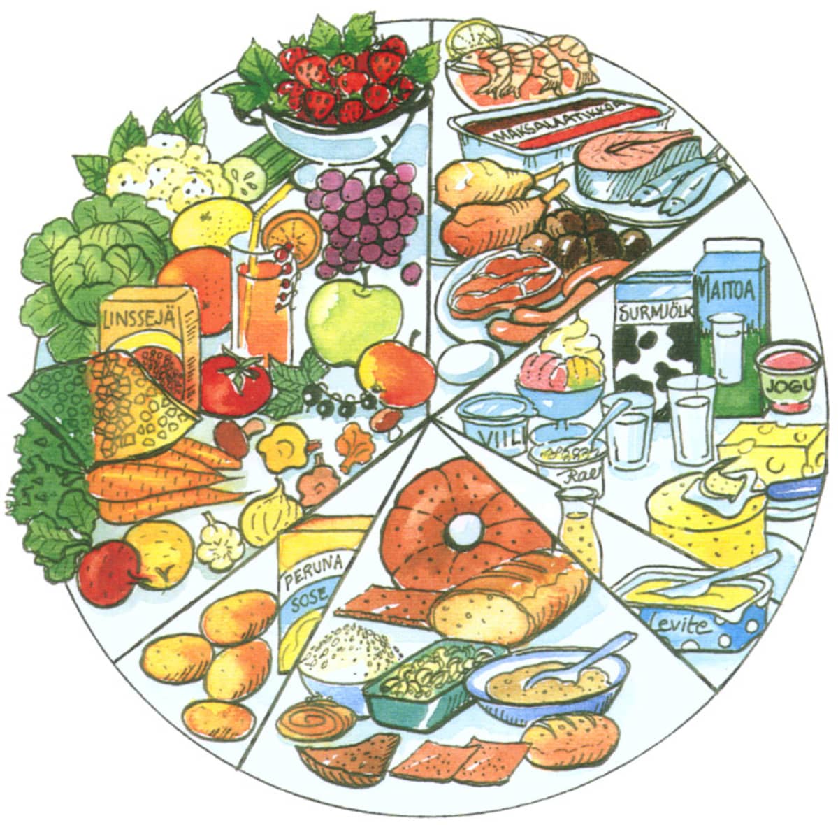 Ruokaympyrä