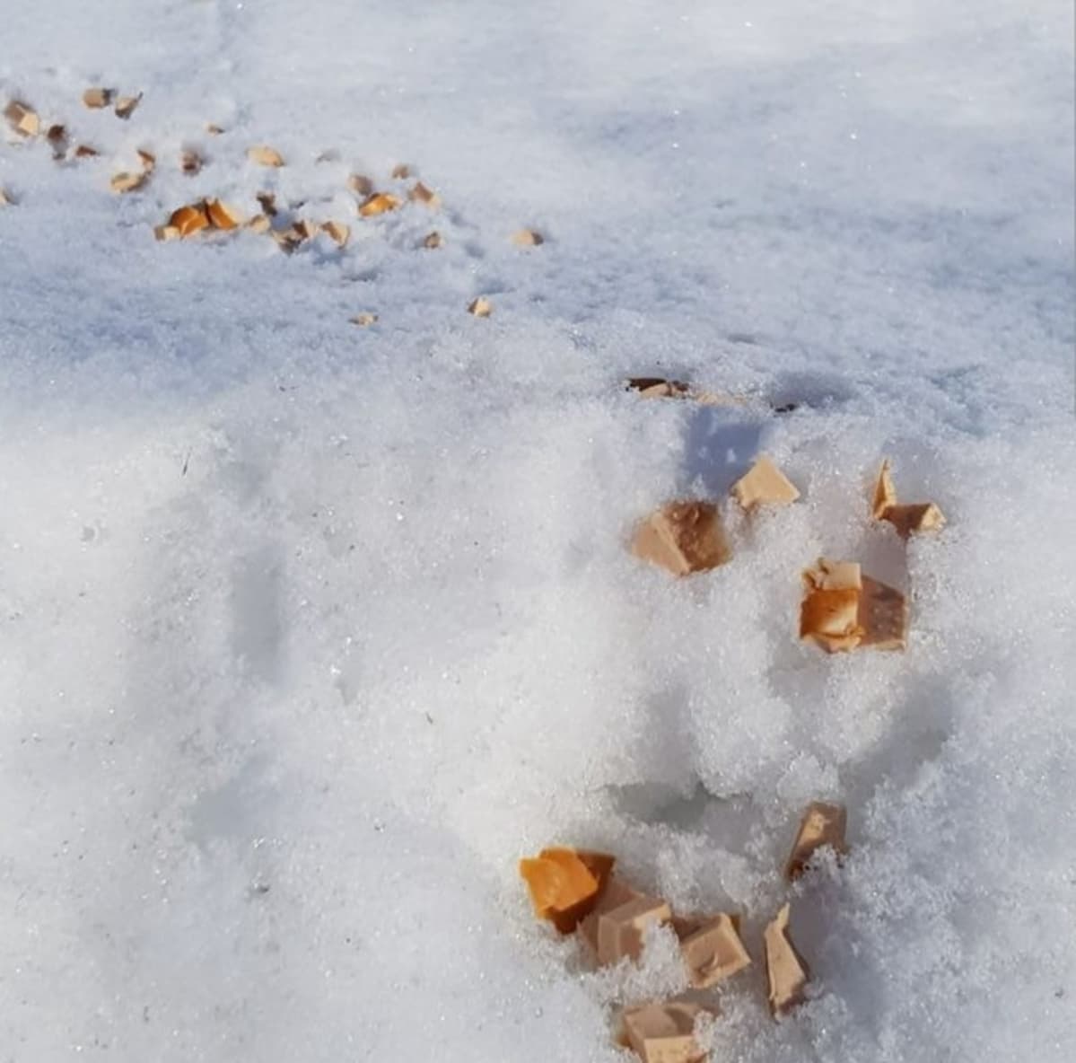 Makkaranpalat hangella säikäyttivät koiransa kanssa liikkuneen Janika Mäenpään Kokkolassa.