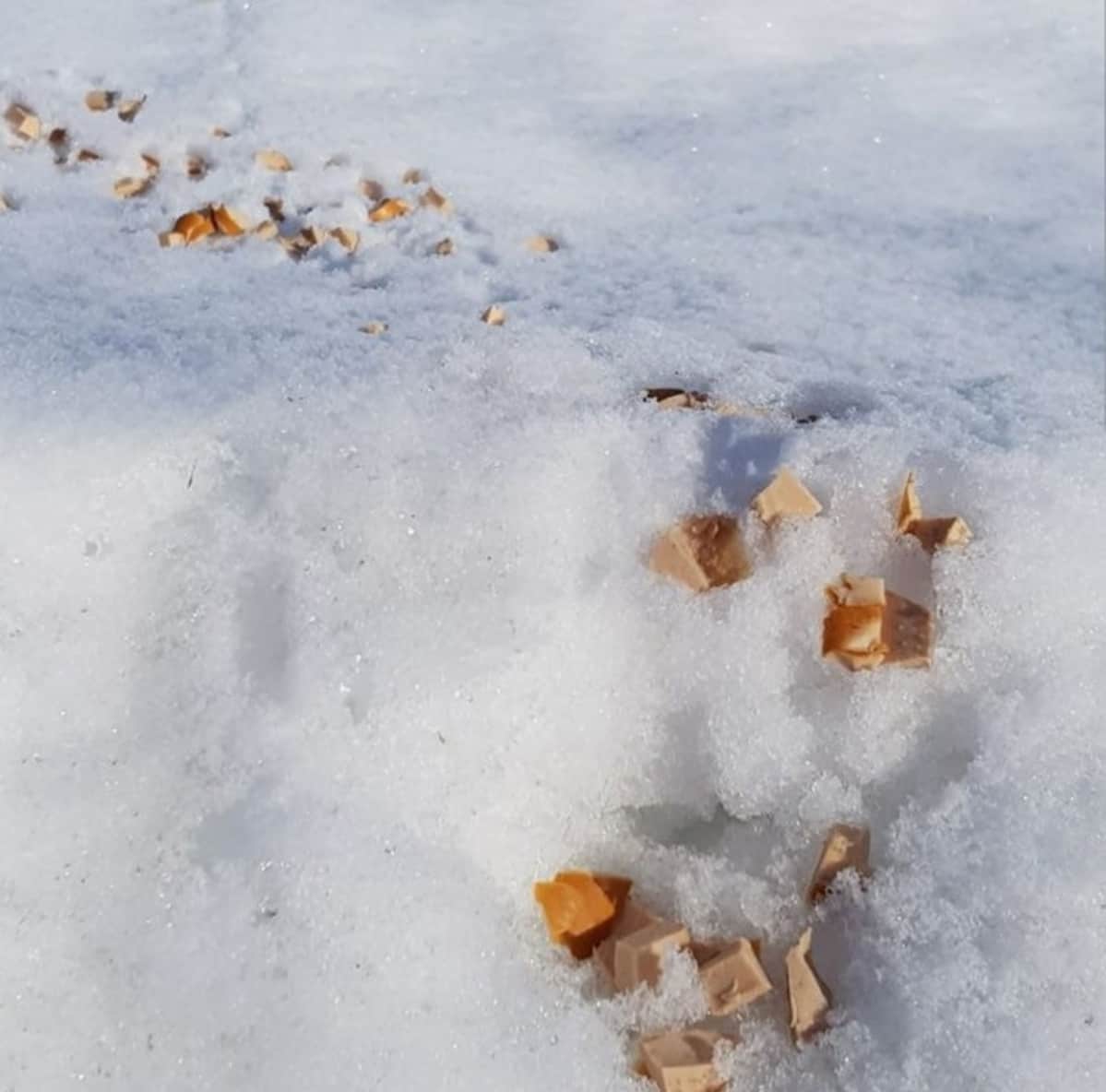 Makkaranpalat hangella säikäyttivät koiransa kanssa liikkuneen Janika Mäenpään Kokkolassa.
