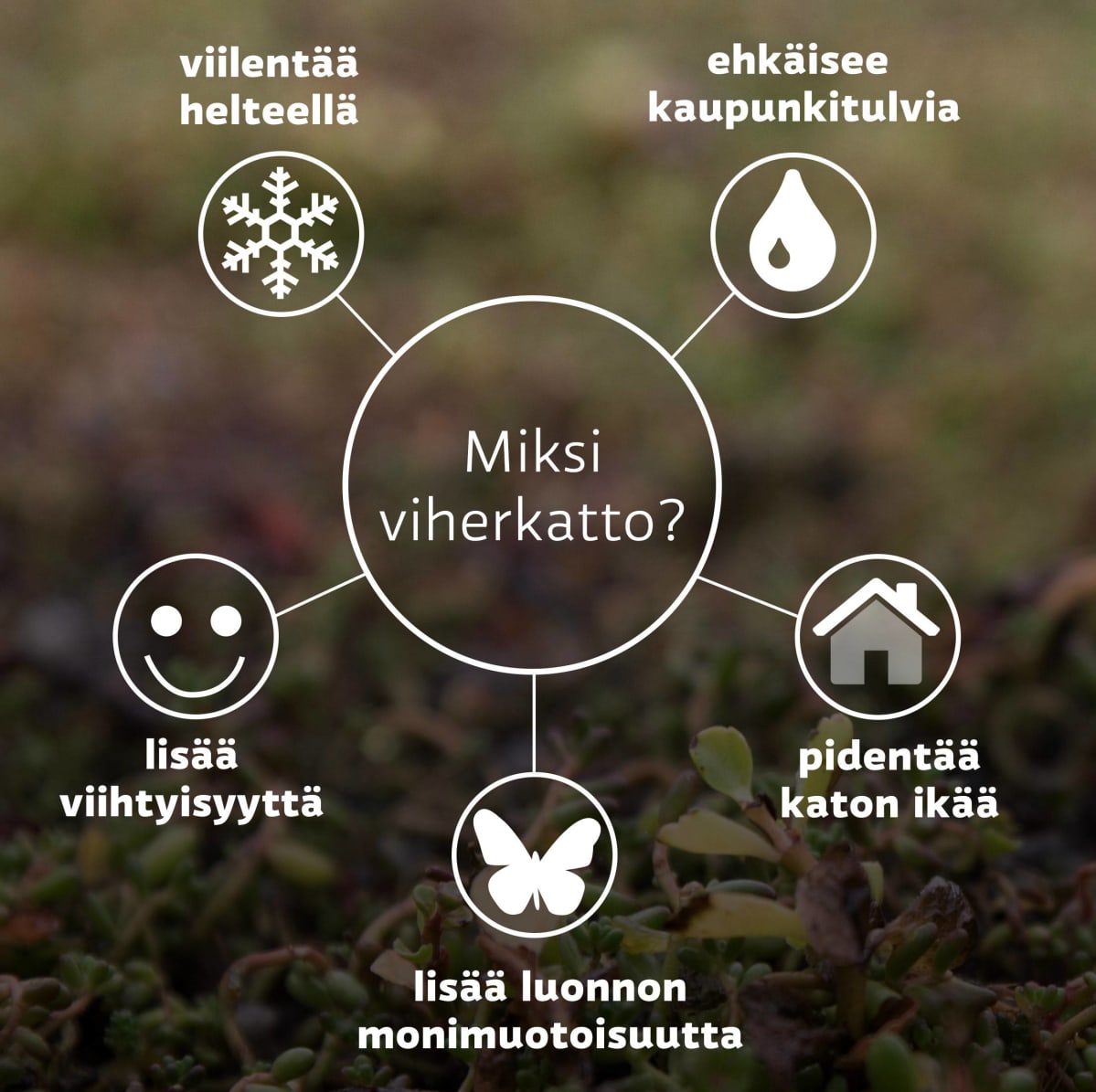 Viherkattojen hyödyt: Viilentää sisällä ja ulkona, ehkäisee kaupunkitulvia, lisää viihtyisyyttä, pidentää katon ikää, lisää luonnon monimuotoisuutta.
