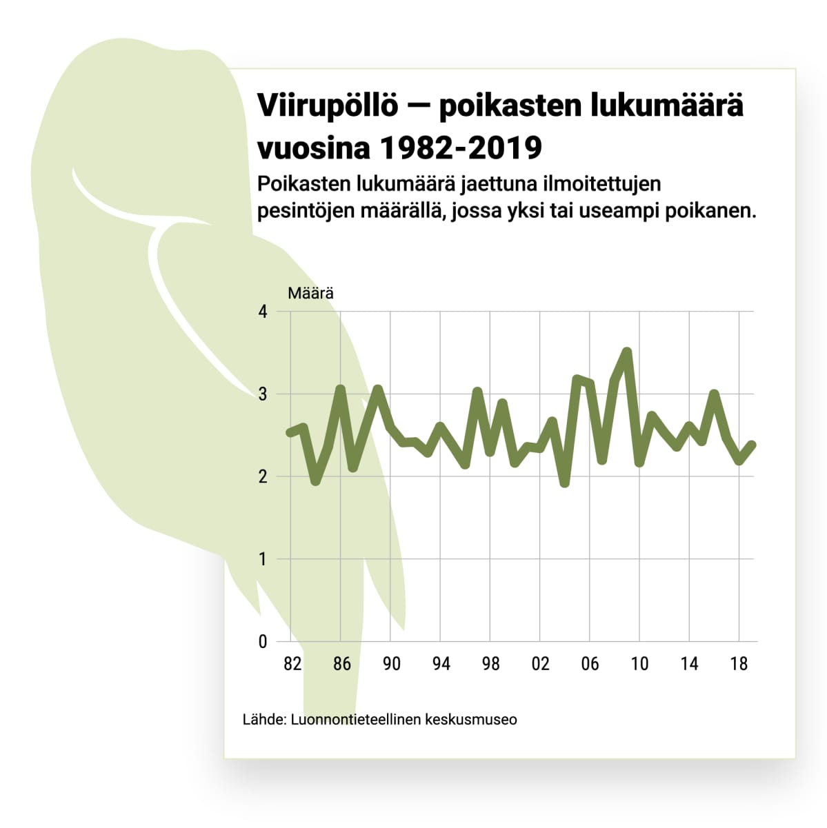 Grafiikka viirupöllön poikasmääristä