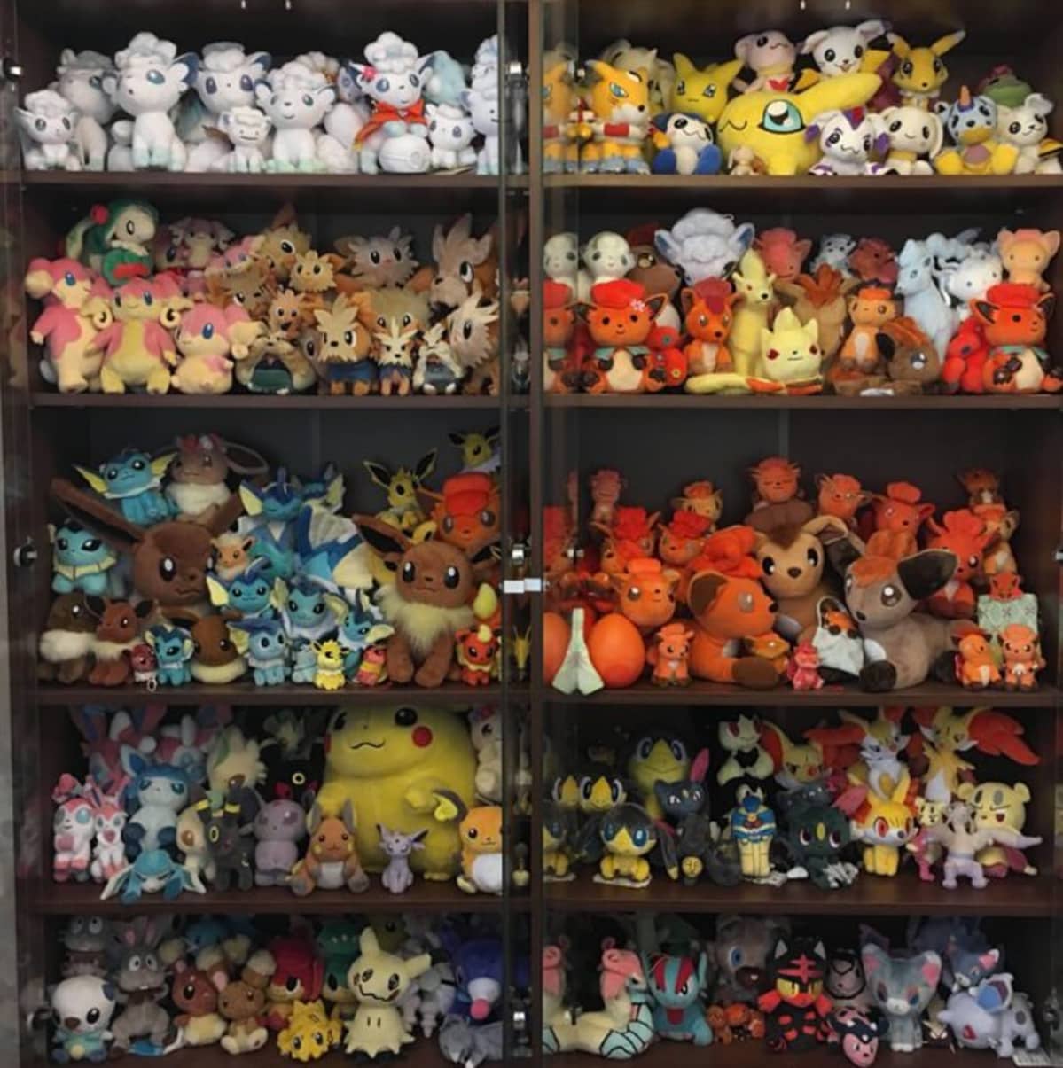 Pokemon-pehmot siisteissä riveissä lasiovien takana Saija Pernun kodissa.