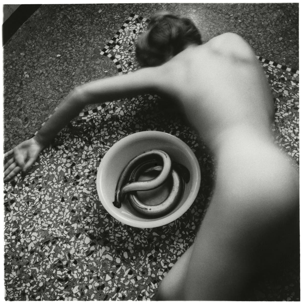 From Eel series, Venice, Italy, 1978