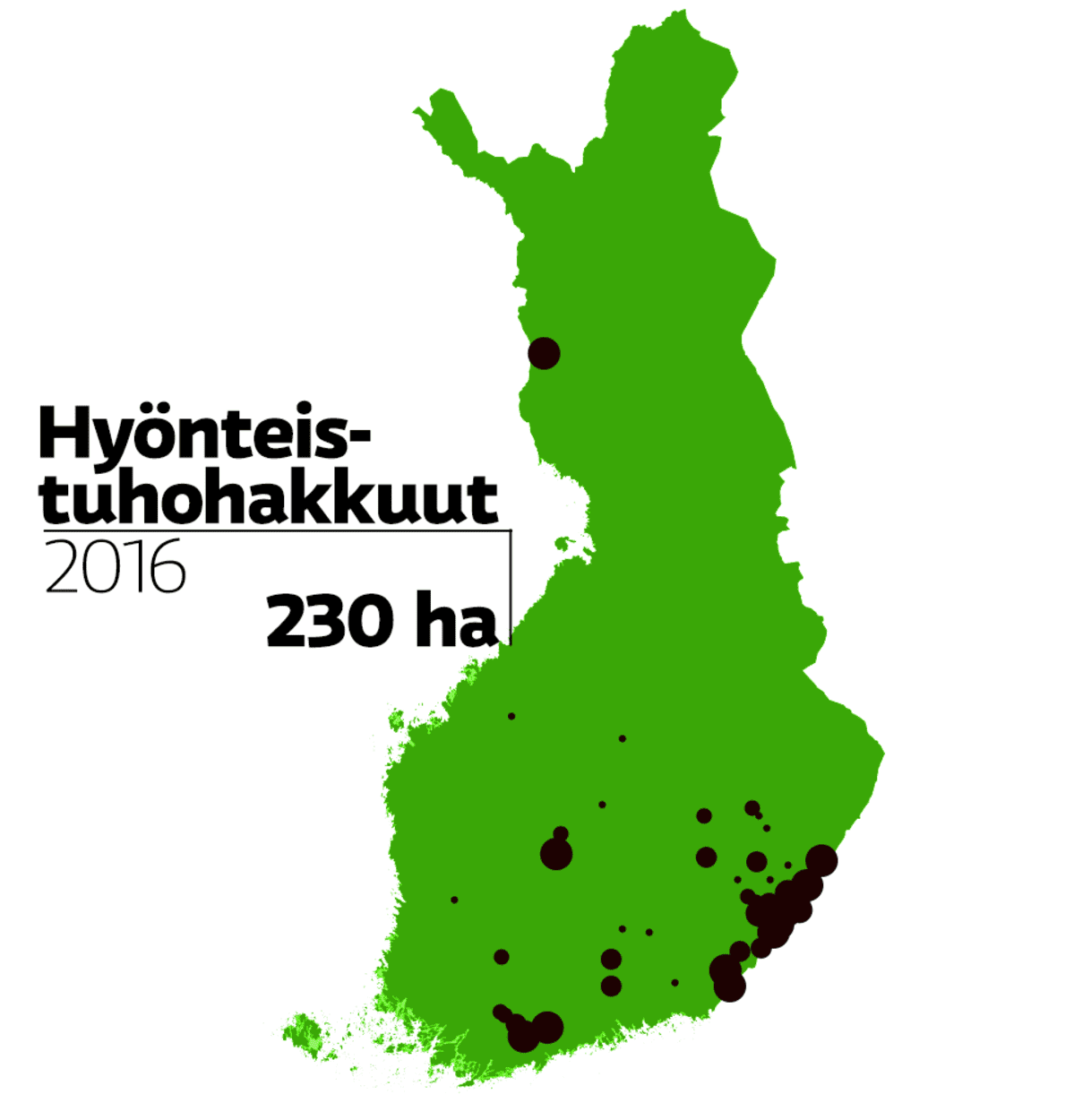 Hyönteistuhohakkuut 2016