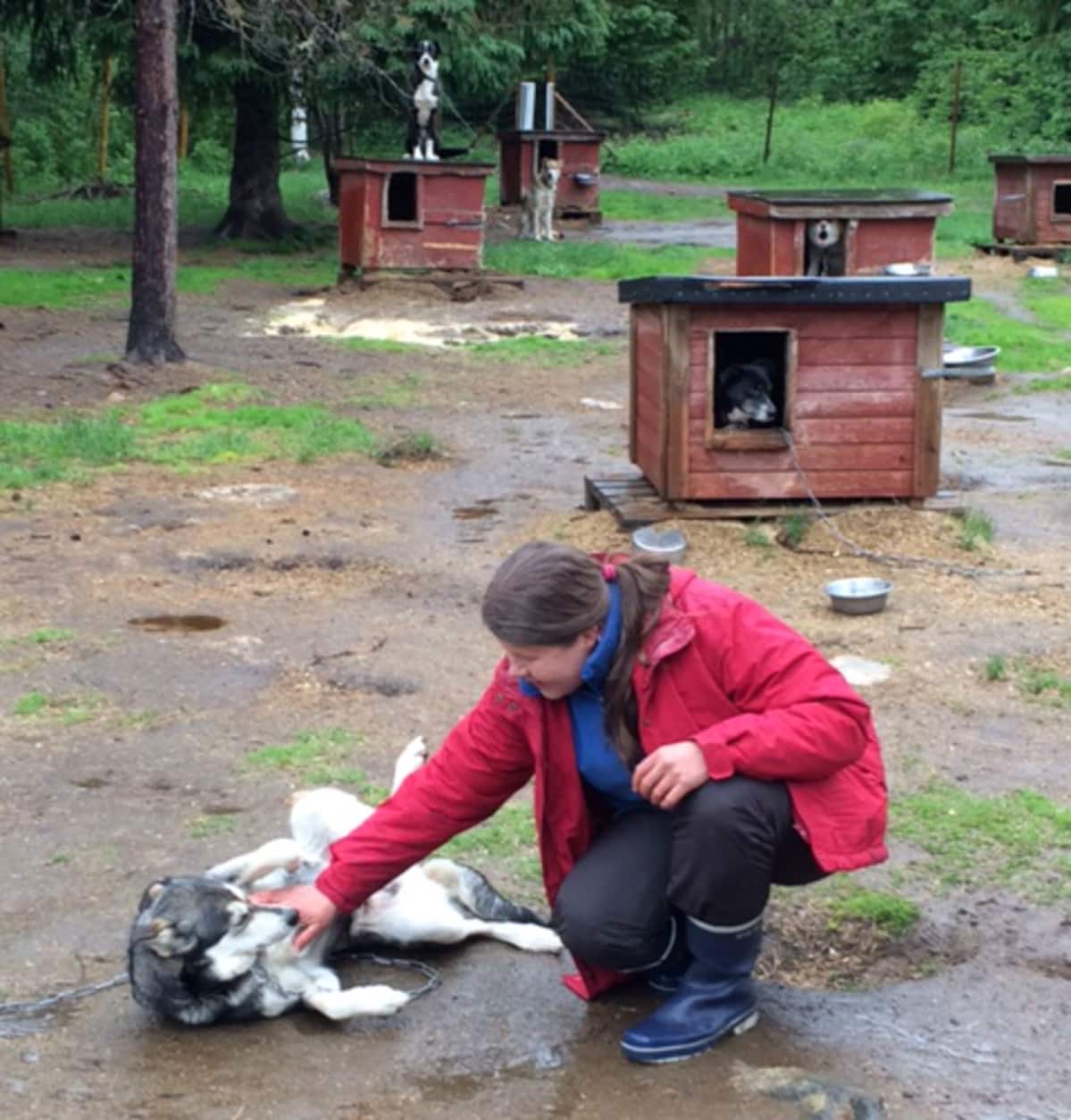 Eliisa Kiiskinen rapsuttaa alaskanhuskyaan.