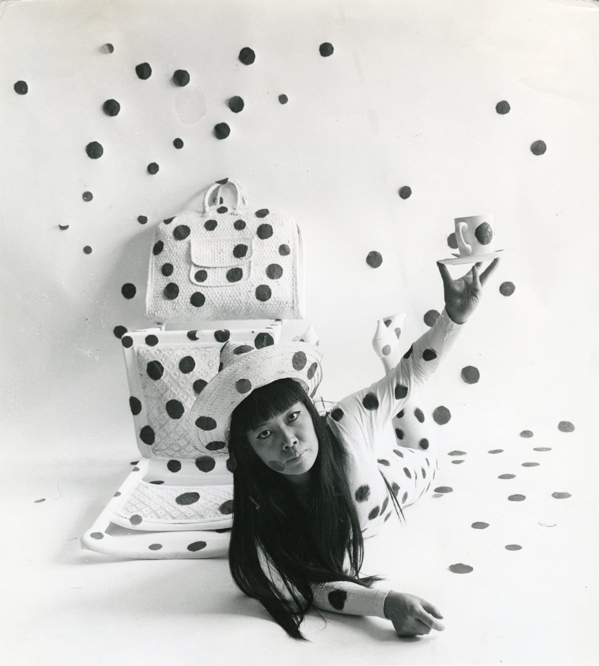 Itsehäivytys täplillä (1968)