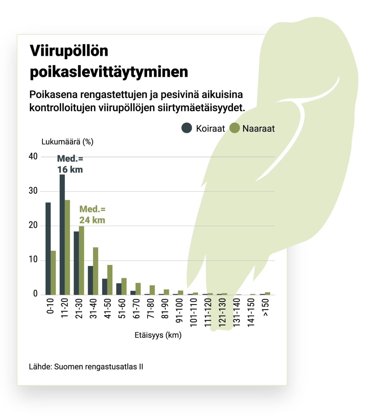 Grafiikka viirupöllöpoikasten levittäytymisestä