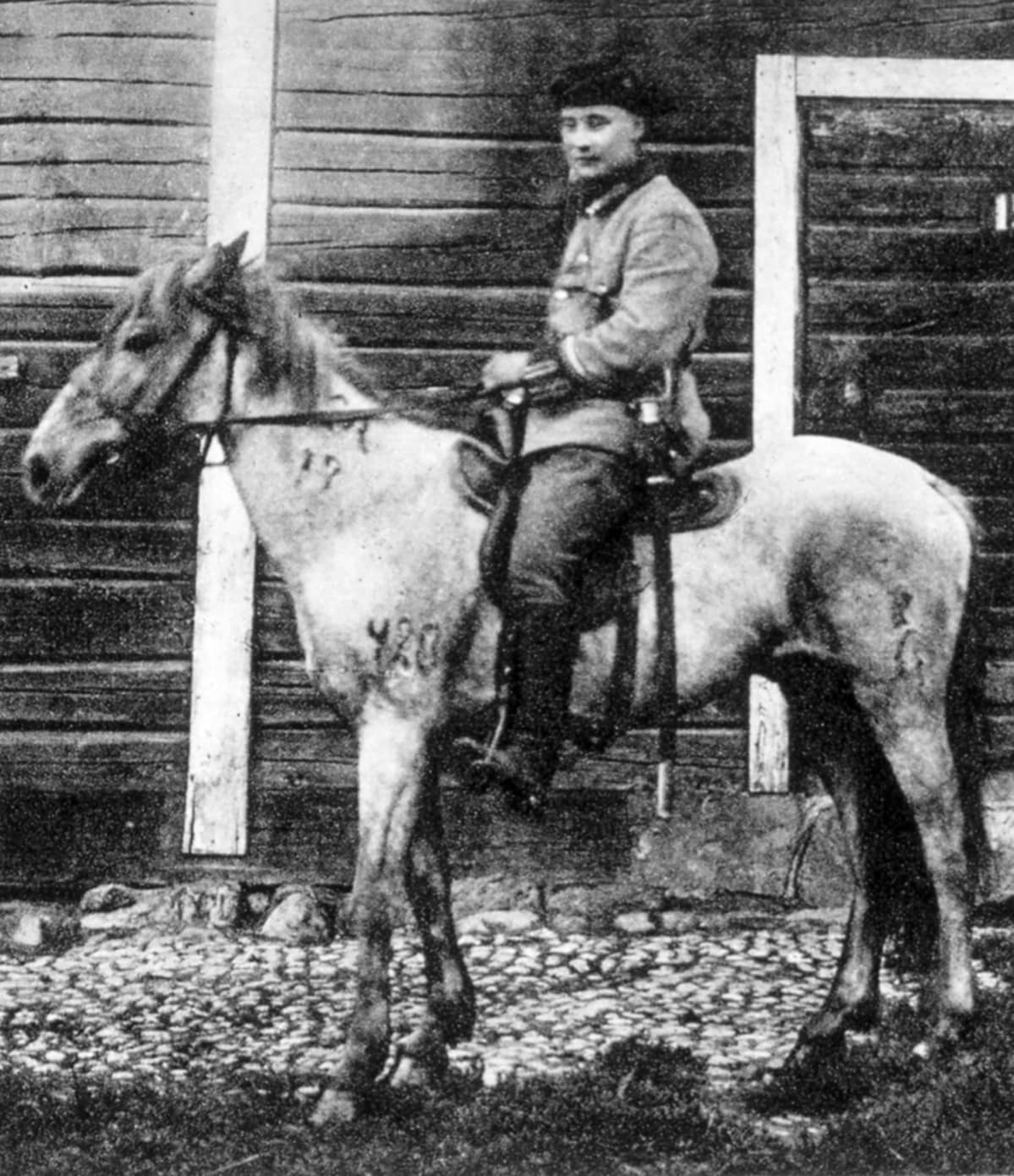 Saksanniemien ratsupoliisi