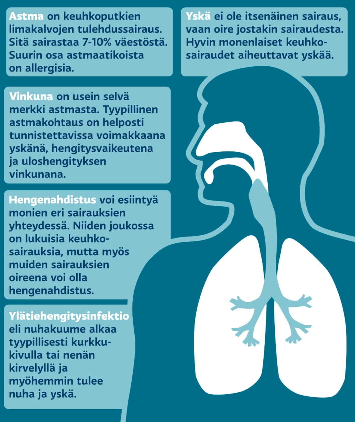 Gafiikka.