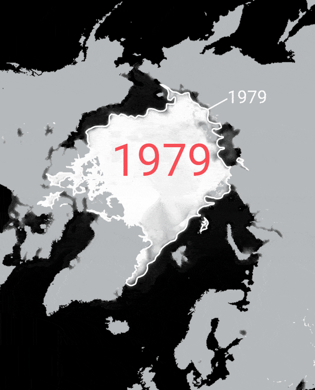 Napajään pinta-ala 15.9. 1979–2019 (materiaalista puuttuvat vuodet 1981, 1983 ja 1984). Valkoinen rajaviiva kuvassa, on vuoden 1979 jääpeitteen laajuus.