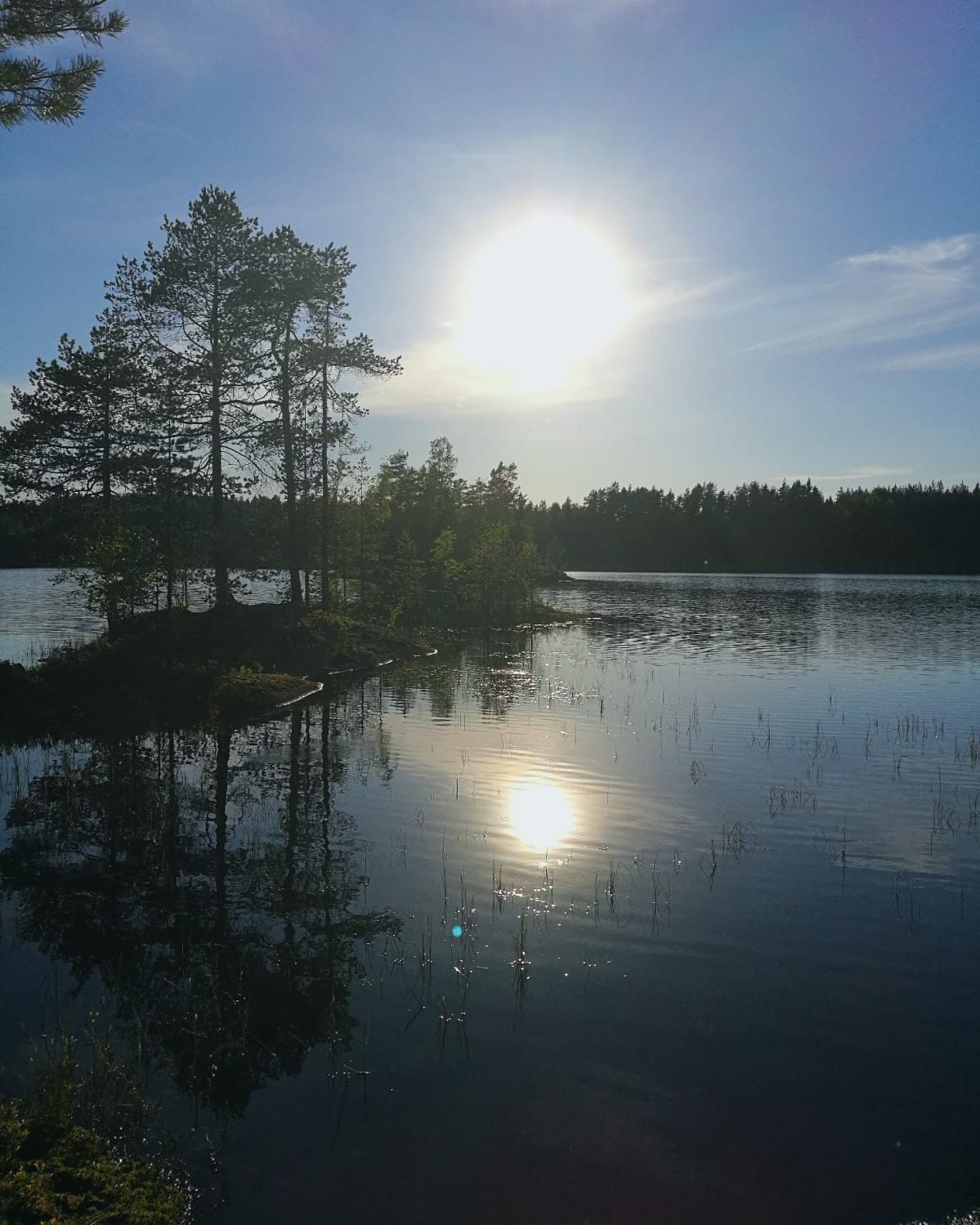 Aurinkoinen järvimaisema Kintulammella Tampereella.