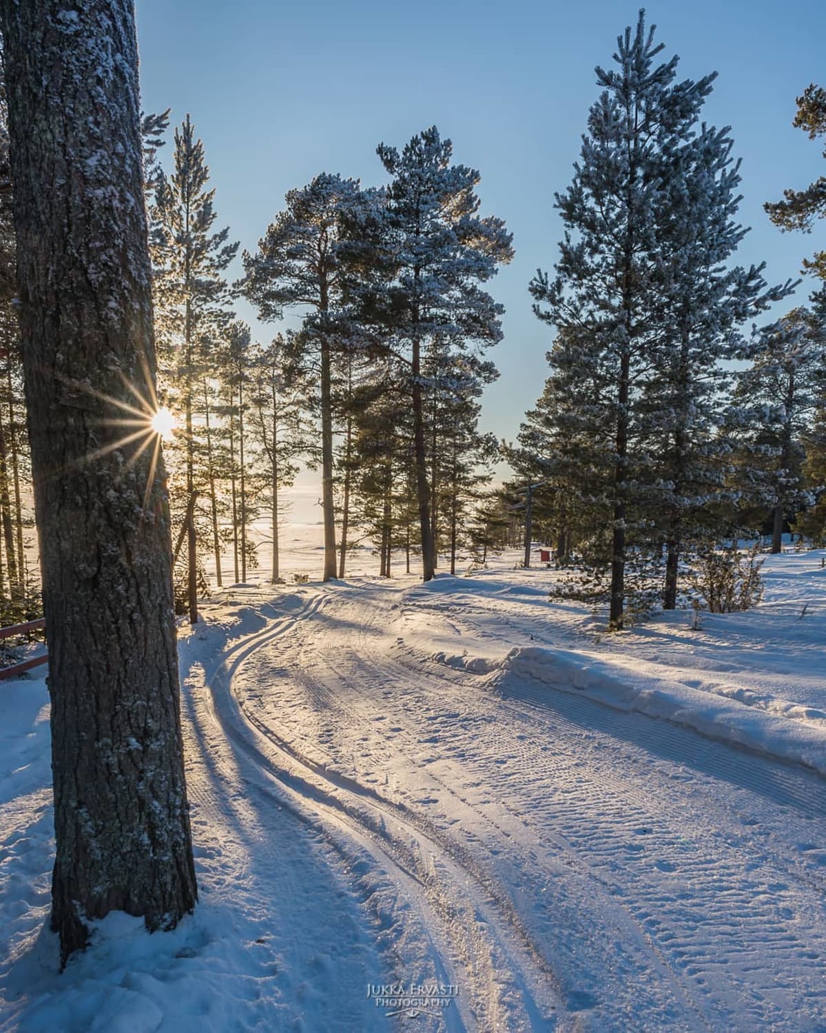Latu metsässä.