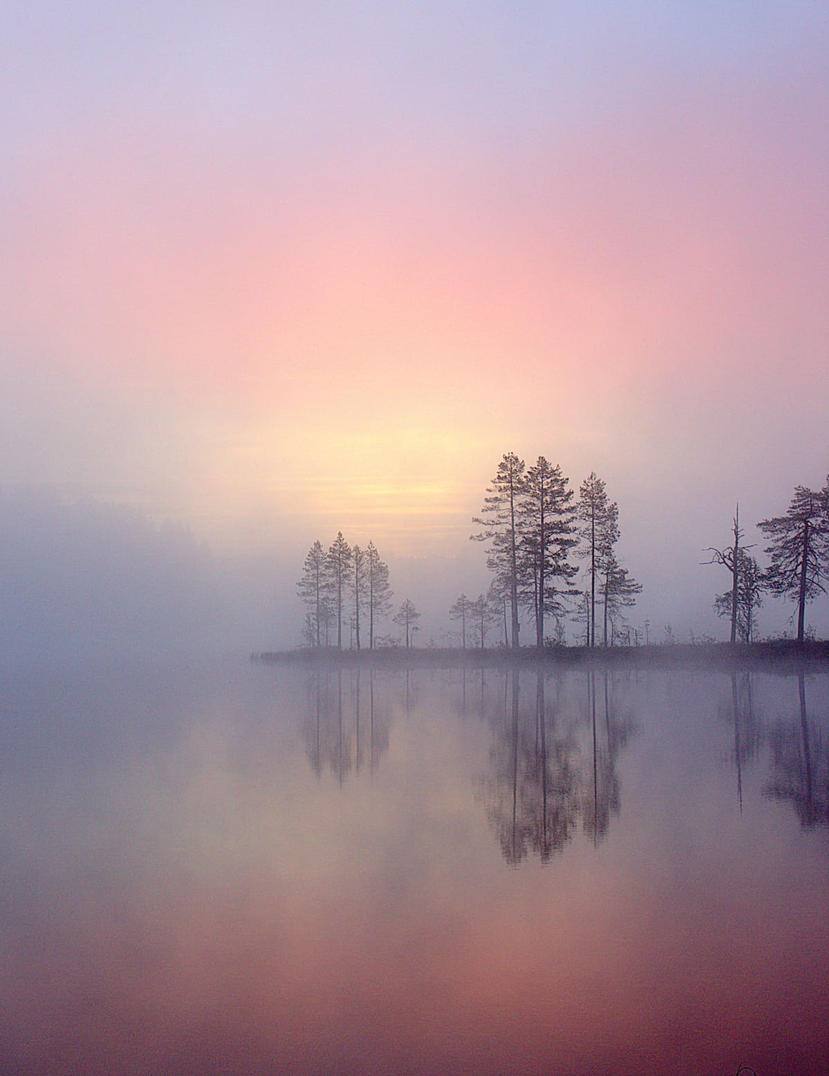 Aamuusvainen järvimaisema.