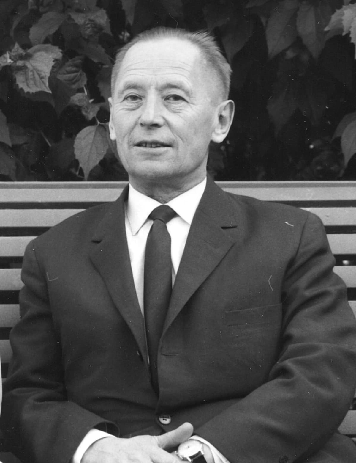 Aarne Hellemaa