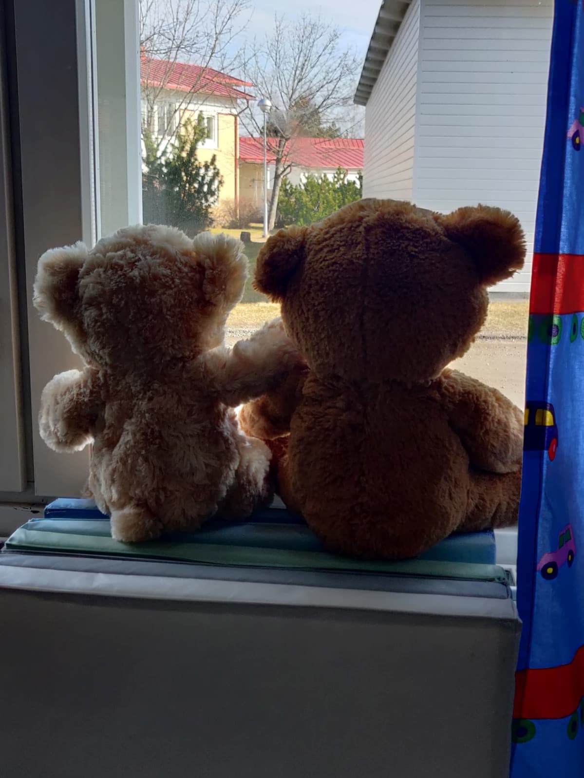 Nallet istuvat ikkunanlaudalla.