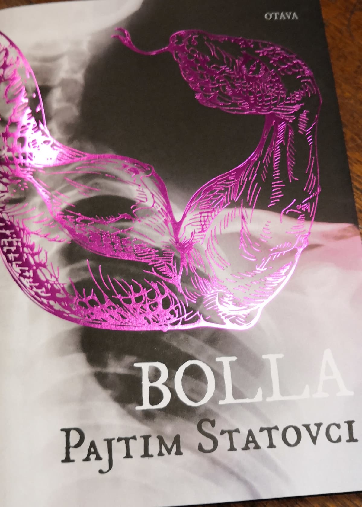 Patjim Statovci/ Bolla / Kirjailija /Helsinki 26.11.2019
