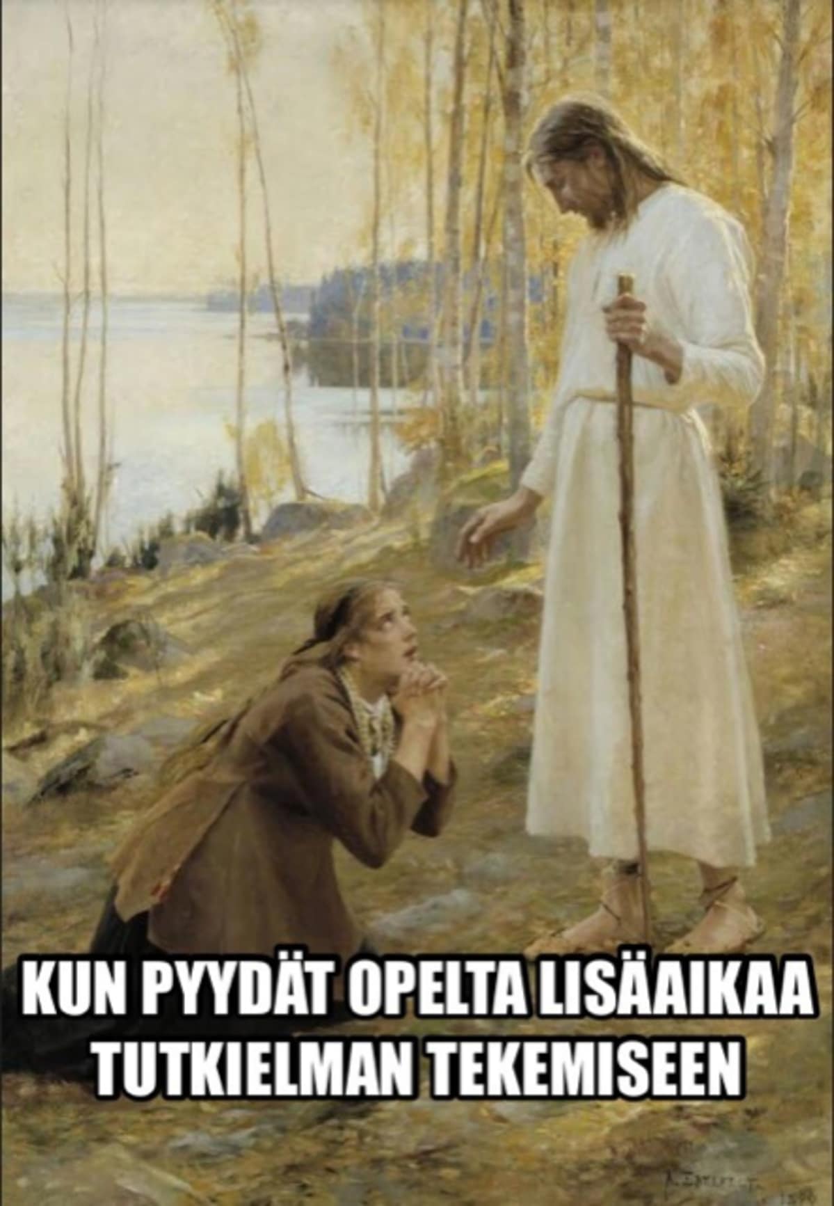 Yläkouluikäisten muokkaama taidemeemi.