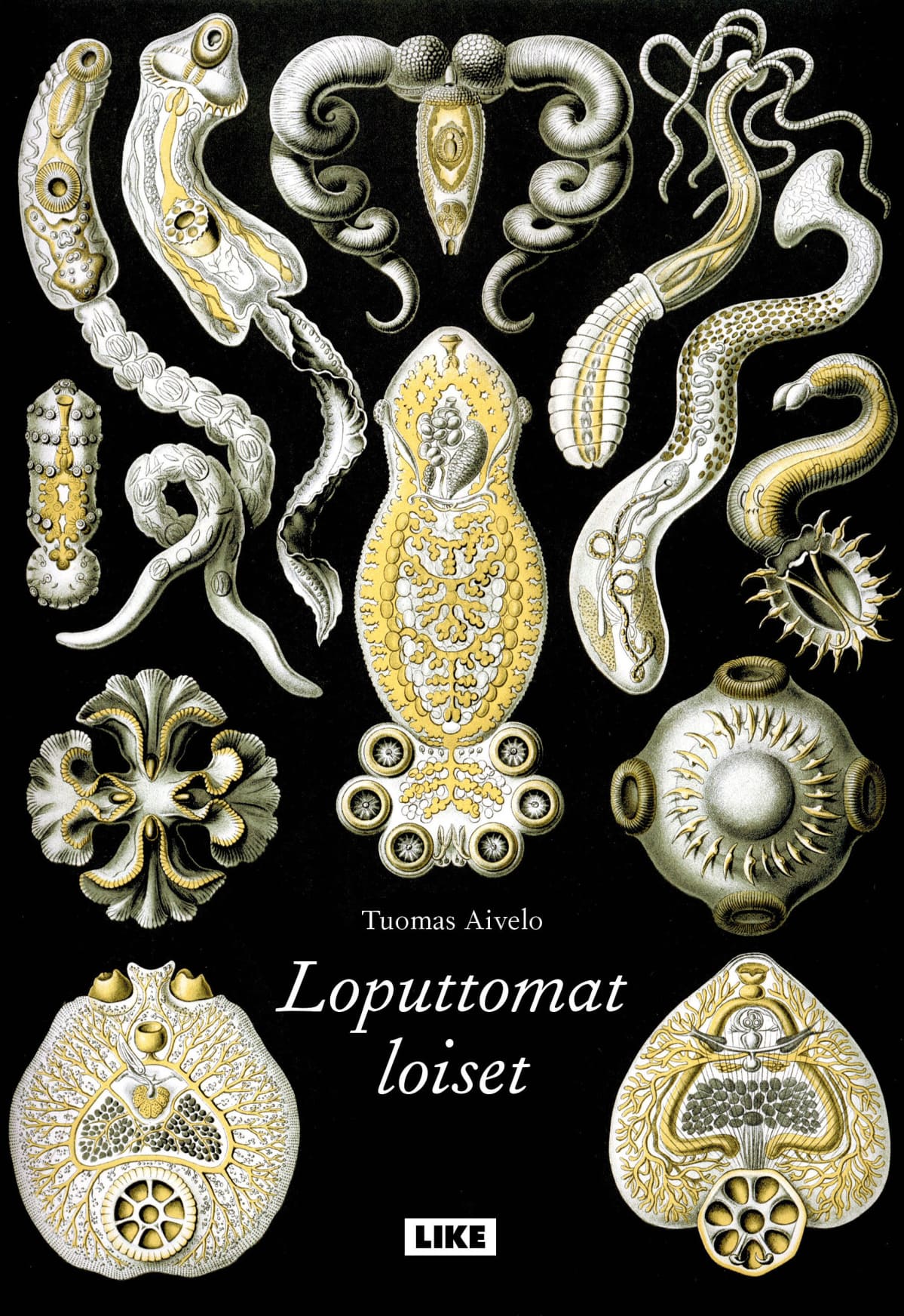 Loputtomat loiset -kirjan kansi