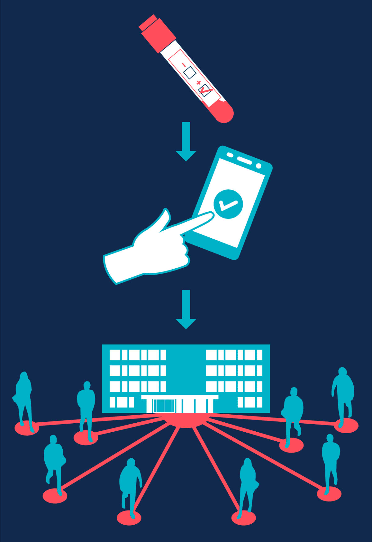 Näin korona-applikaatio toimii