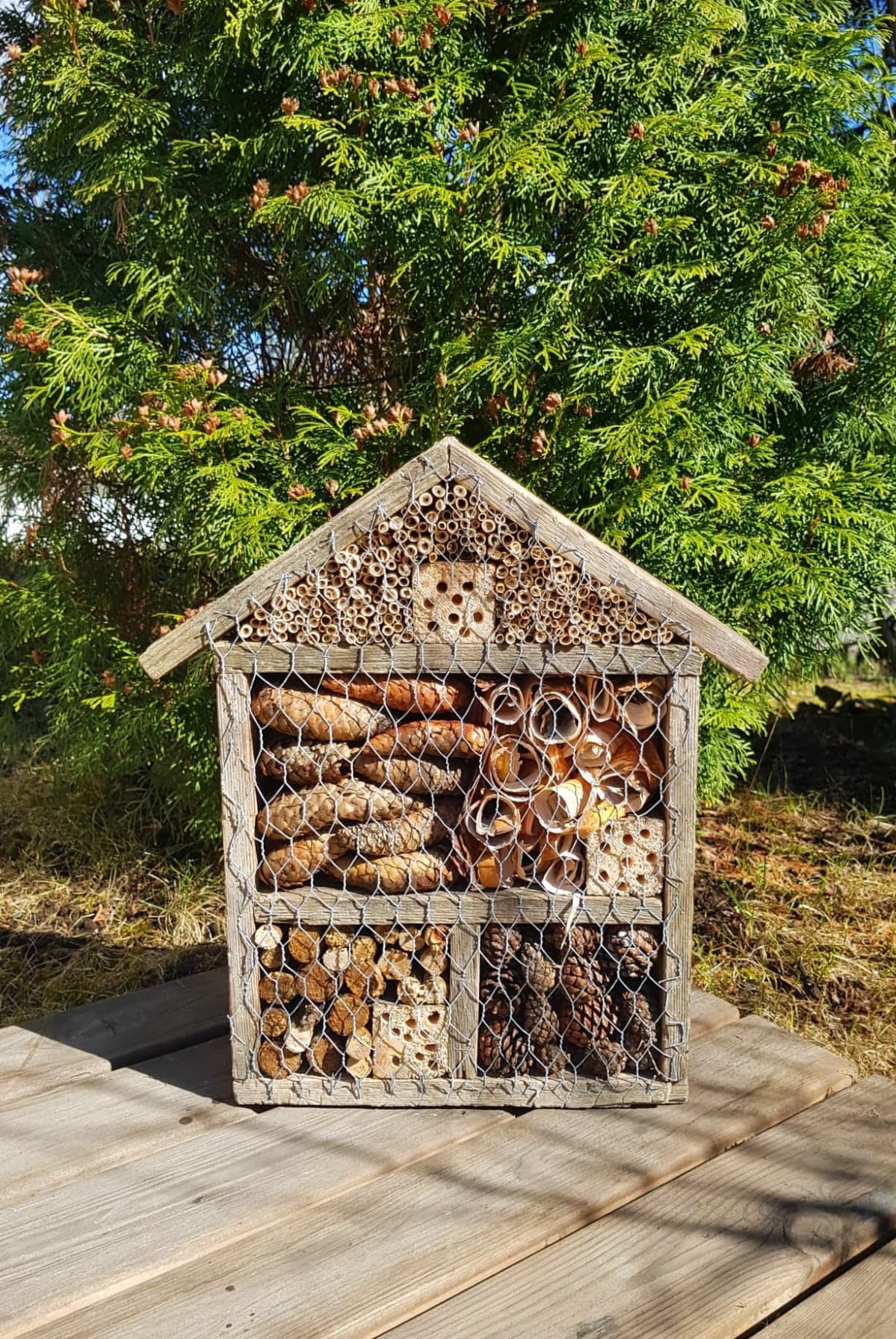 Kävyillä, tuohella ja rei'itetyillä puunpalasilla täytetty hyönteishotelli.