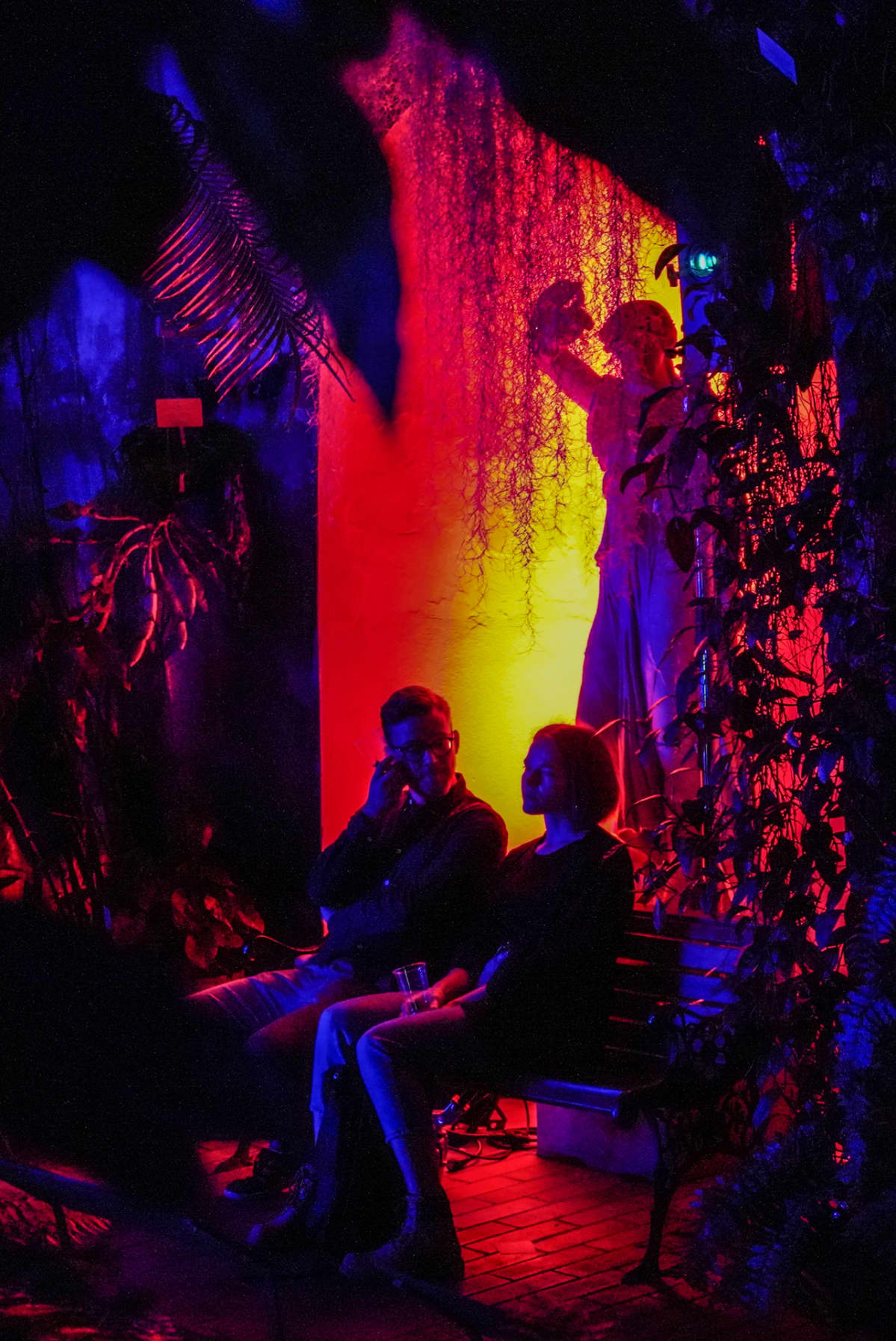 Music for Plants, Kaisaniemen kasvitieteellinen museo
