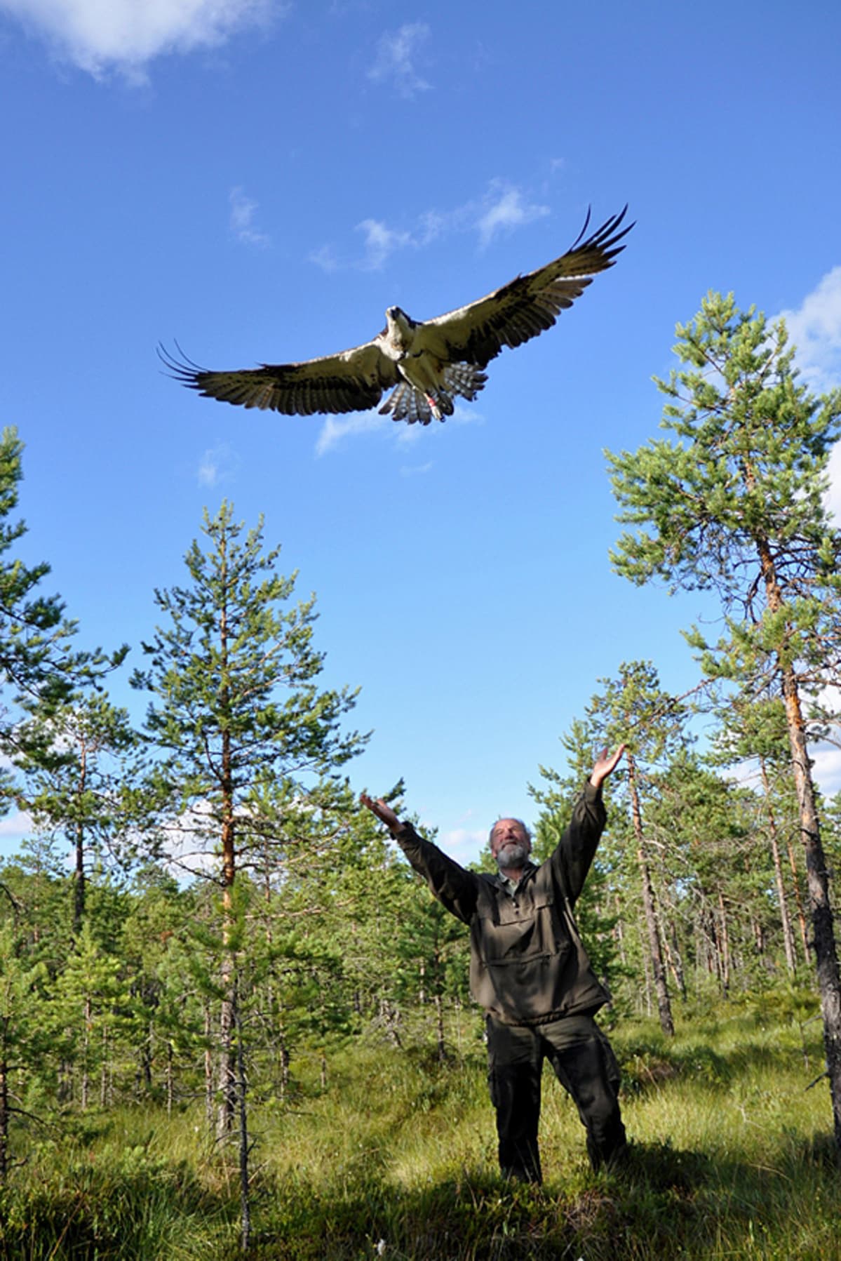 Mies katselee lentävää kalasääkseä.