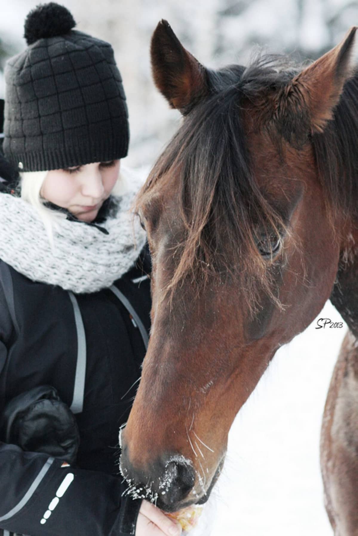 Sanna Pietikäinen ja Takku-hevonen
