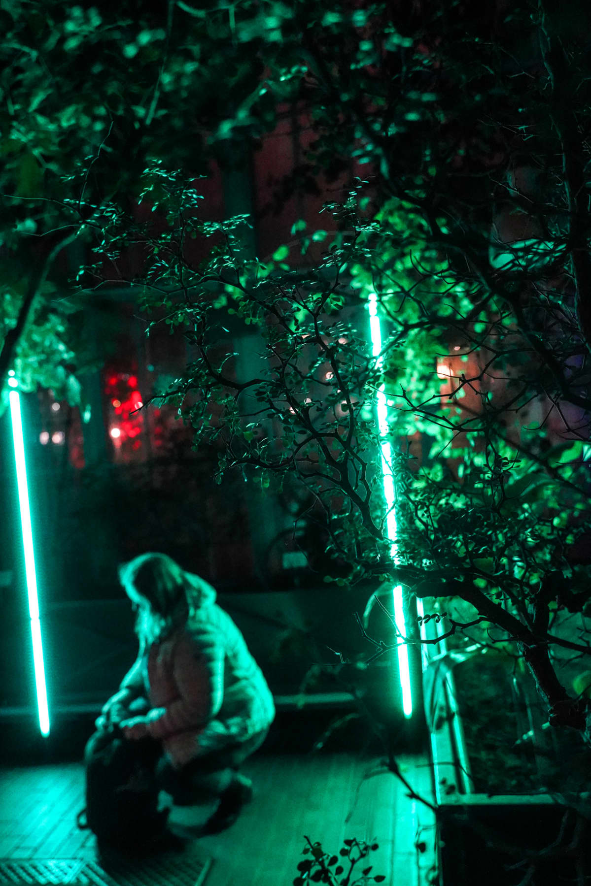 Music for Plants, Kaisaniemen kasvitieteellinen puutarha