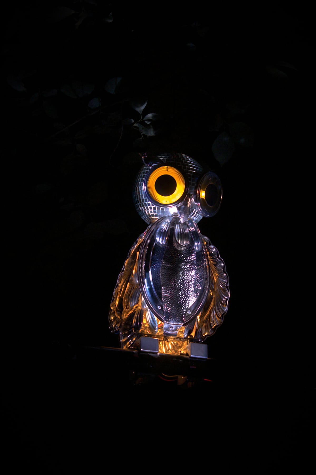 Peilipöllö Bubo Speculus