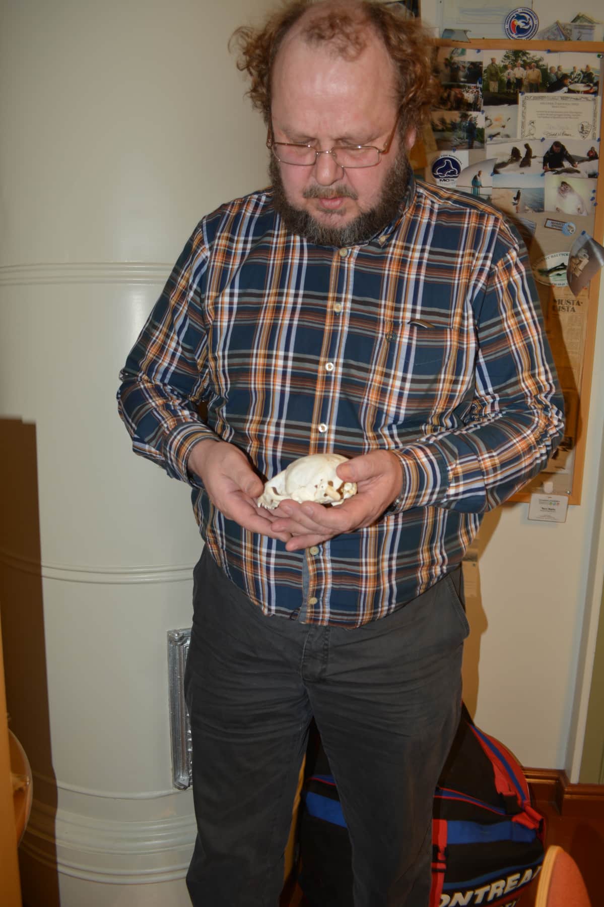 Tero Sipilä kuutin pääkallo käsissään. Suurimmat kuuttikuolemien aiheuttajat ovat kalaverkot ja ilmaston lämpeneminen.