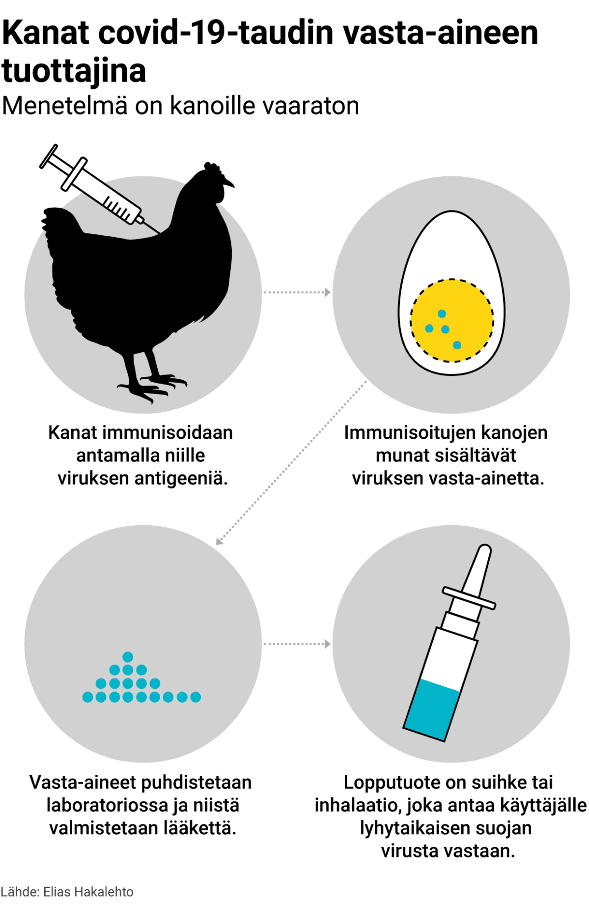 Grafiikka kanojen hyödyntämisestä vasta-ainetuotannossa.