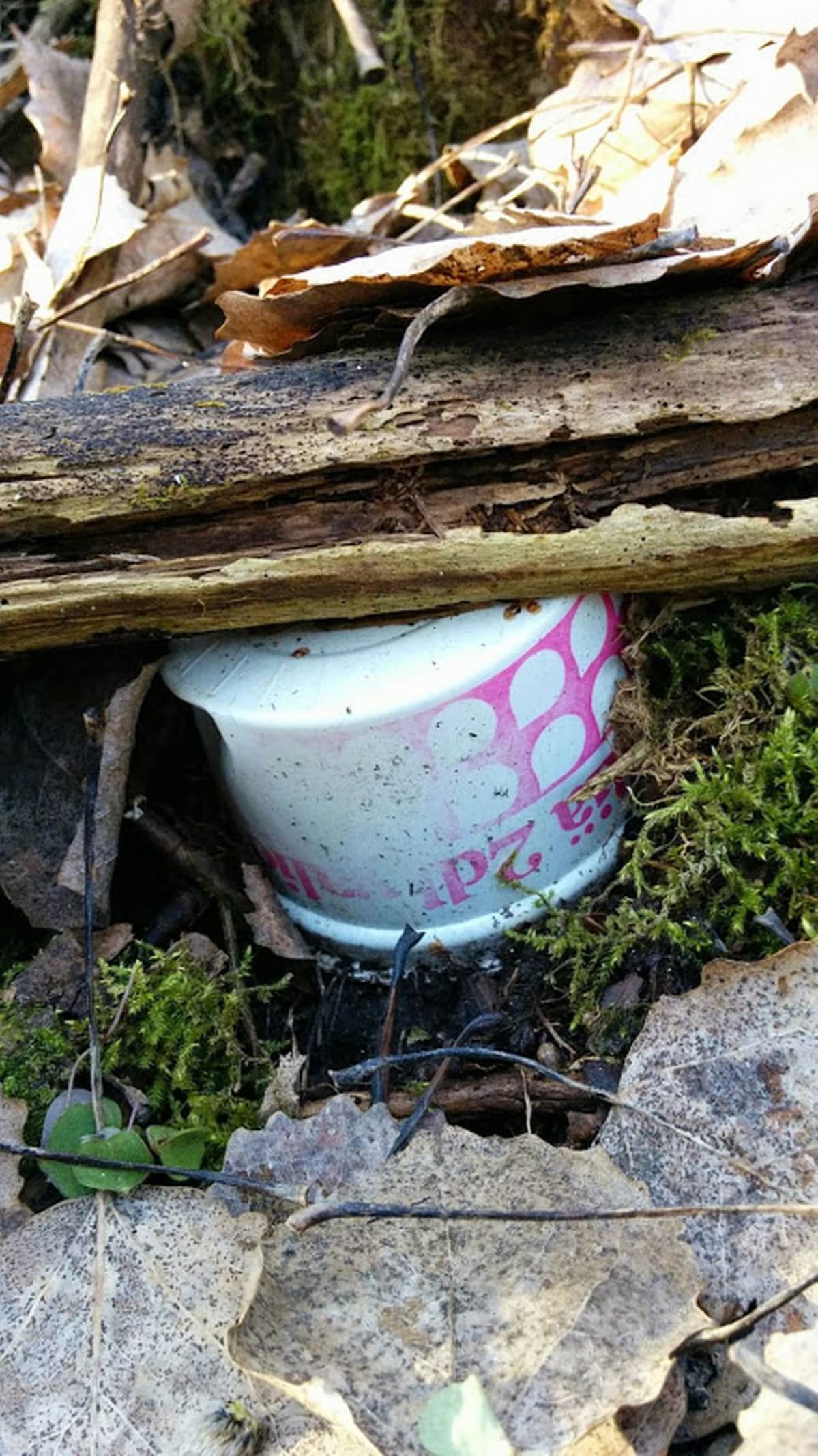 vanha viilipurkki luonnossa
