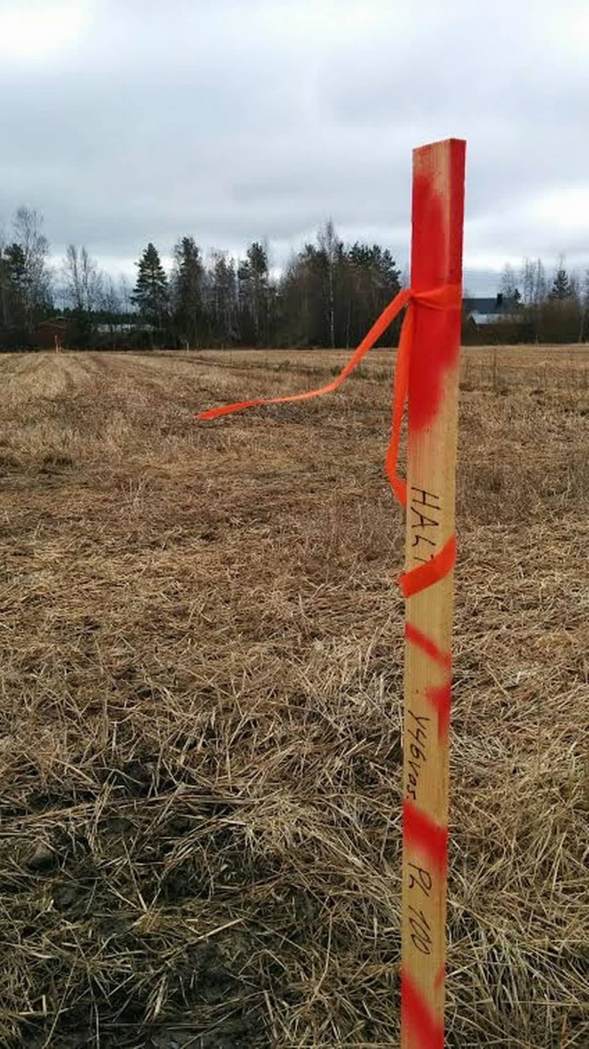 Tielinjaukset on merkitty kepein keskinurmolaisilla pelloilla.