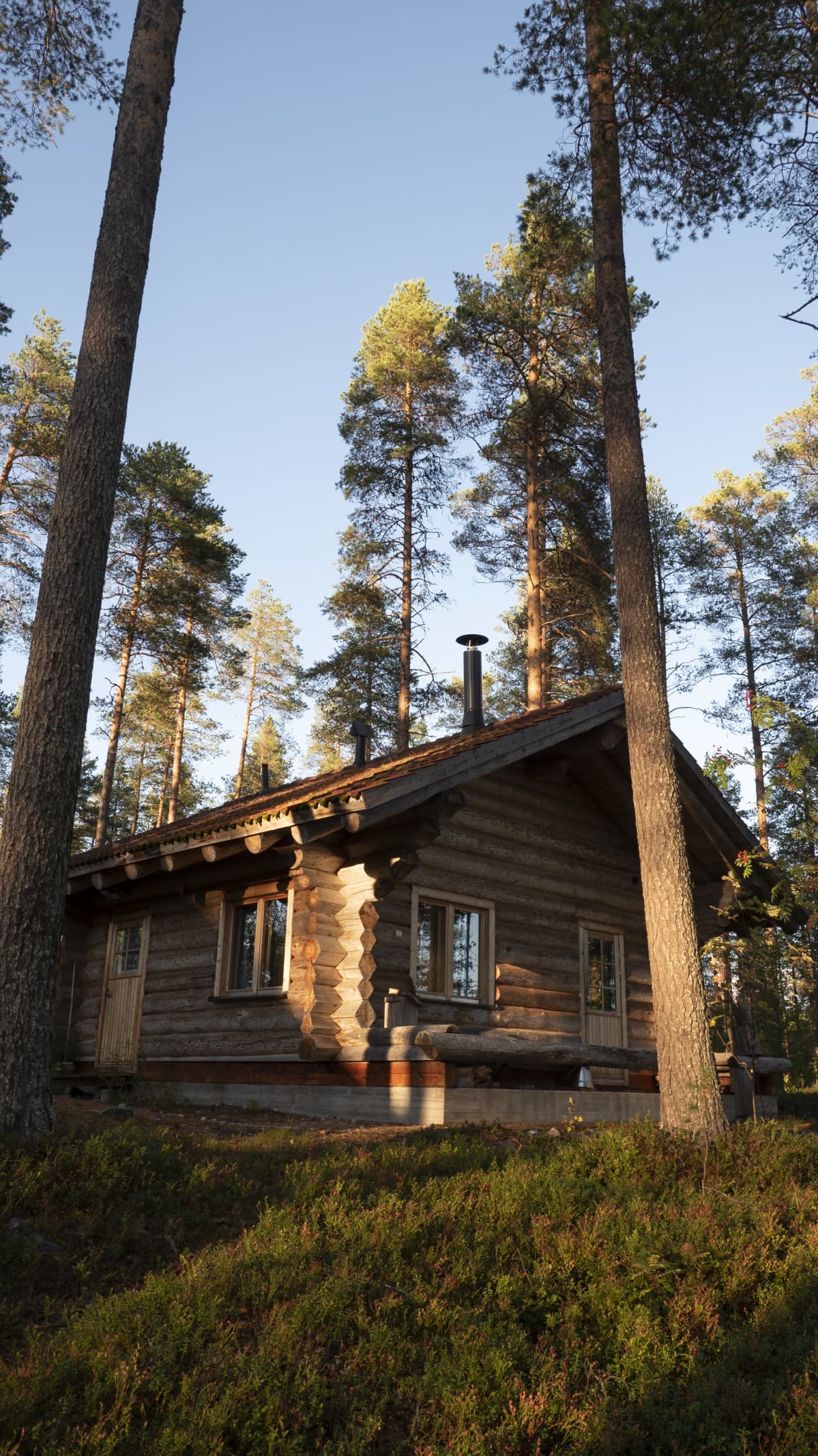 Hirsimökki metsässä.