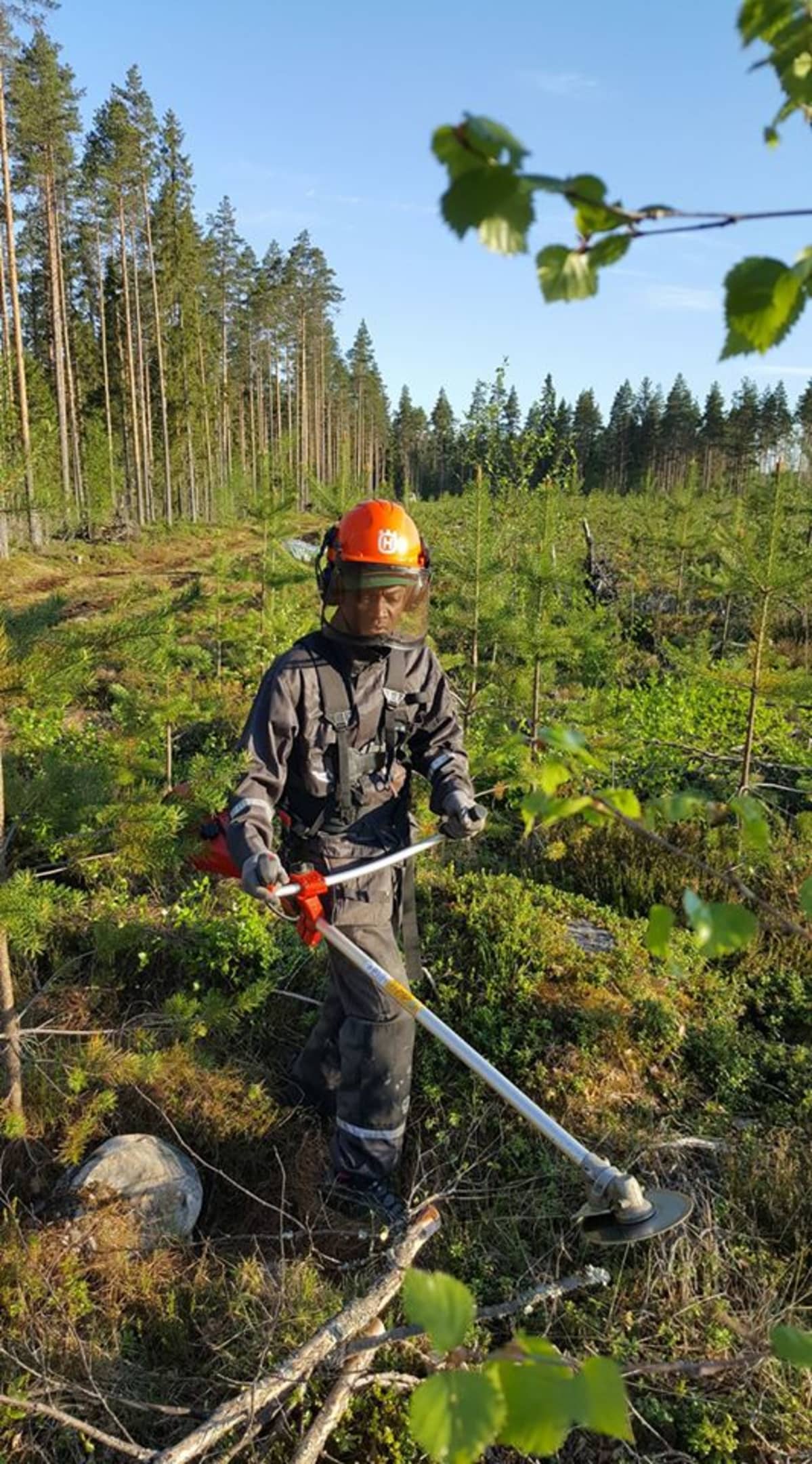 Malloy Nyakwama metsänraivaustöissä.